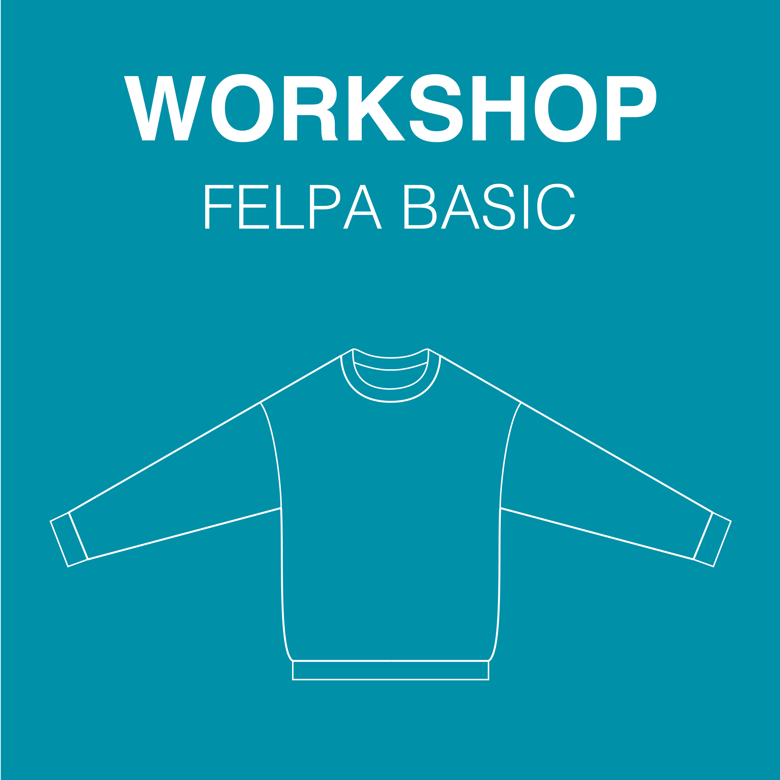 Workshop Felpa basic