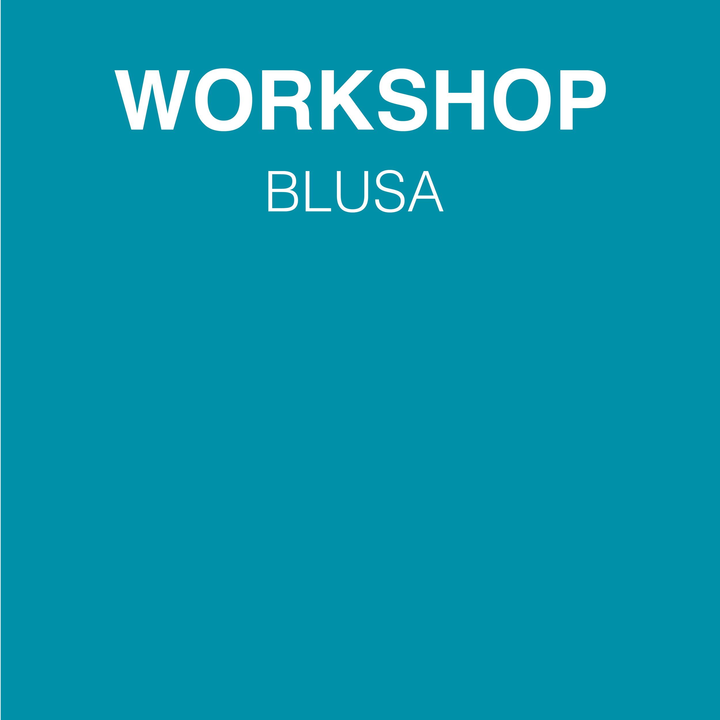 Workshop blusa