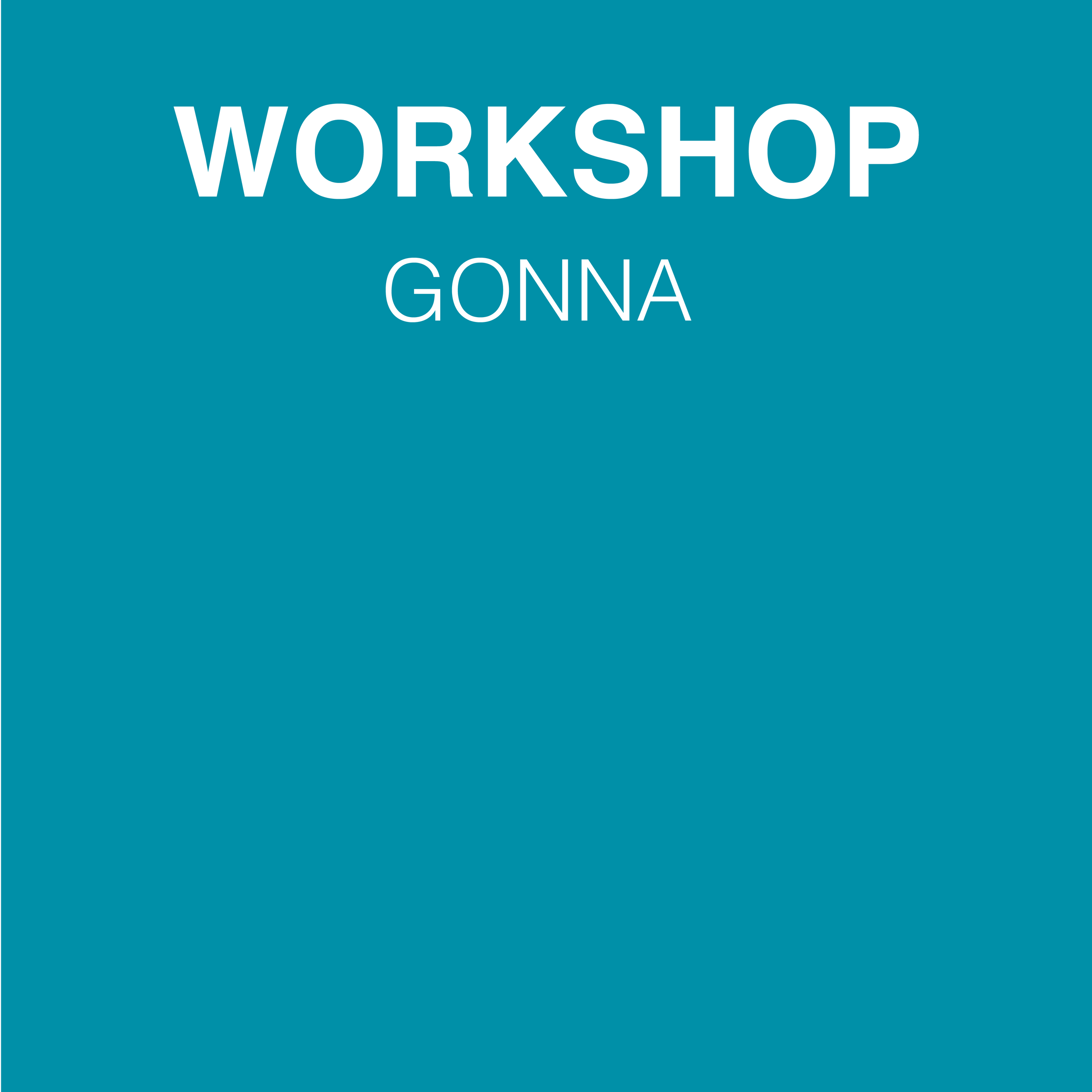 Workshop gonna