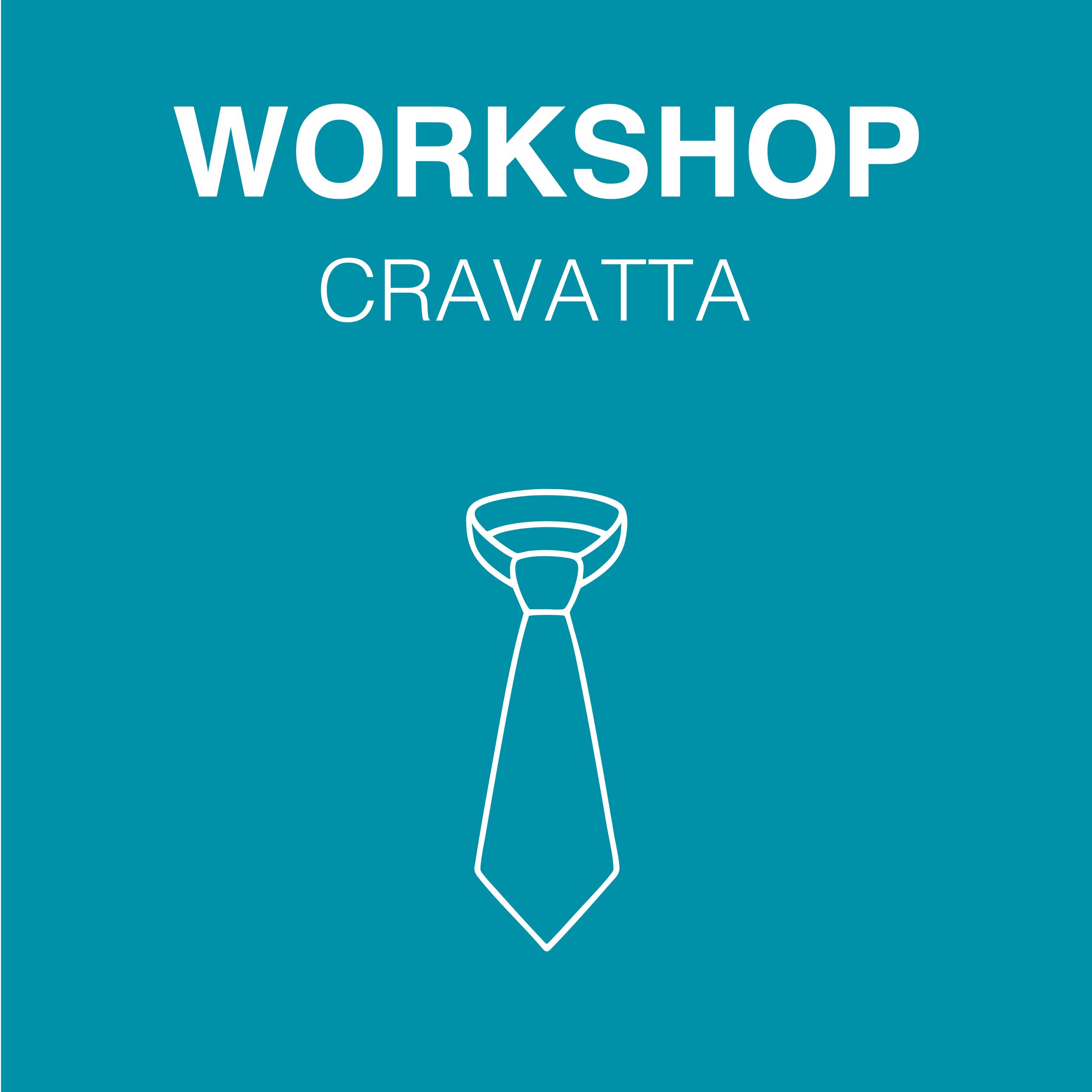 Workshop cravatta