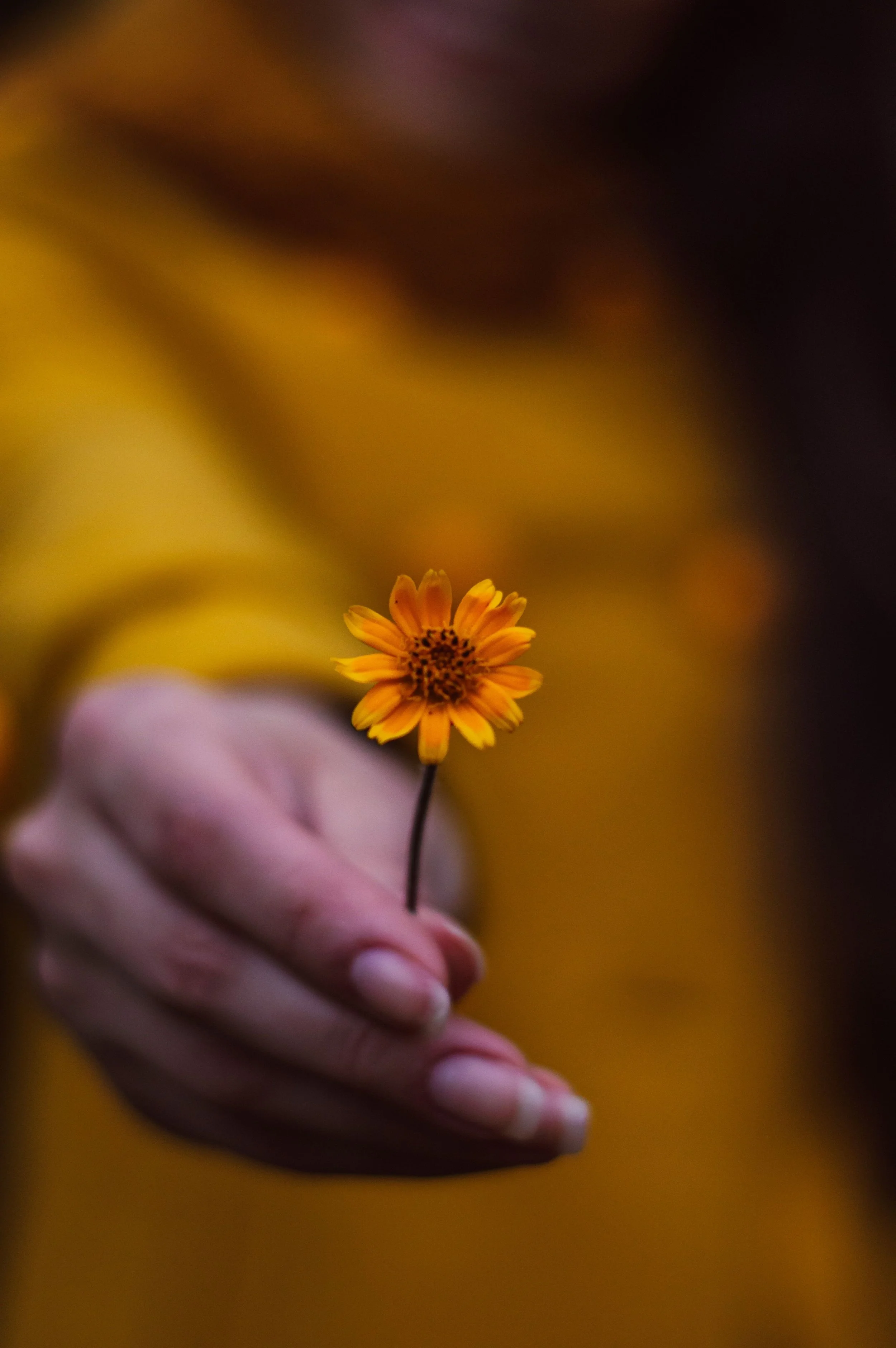 What is Somatic Therapy?
