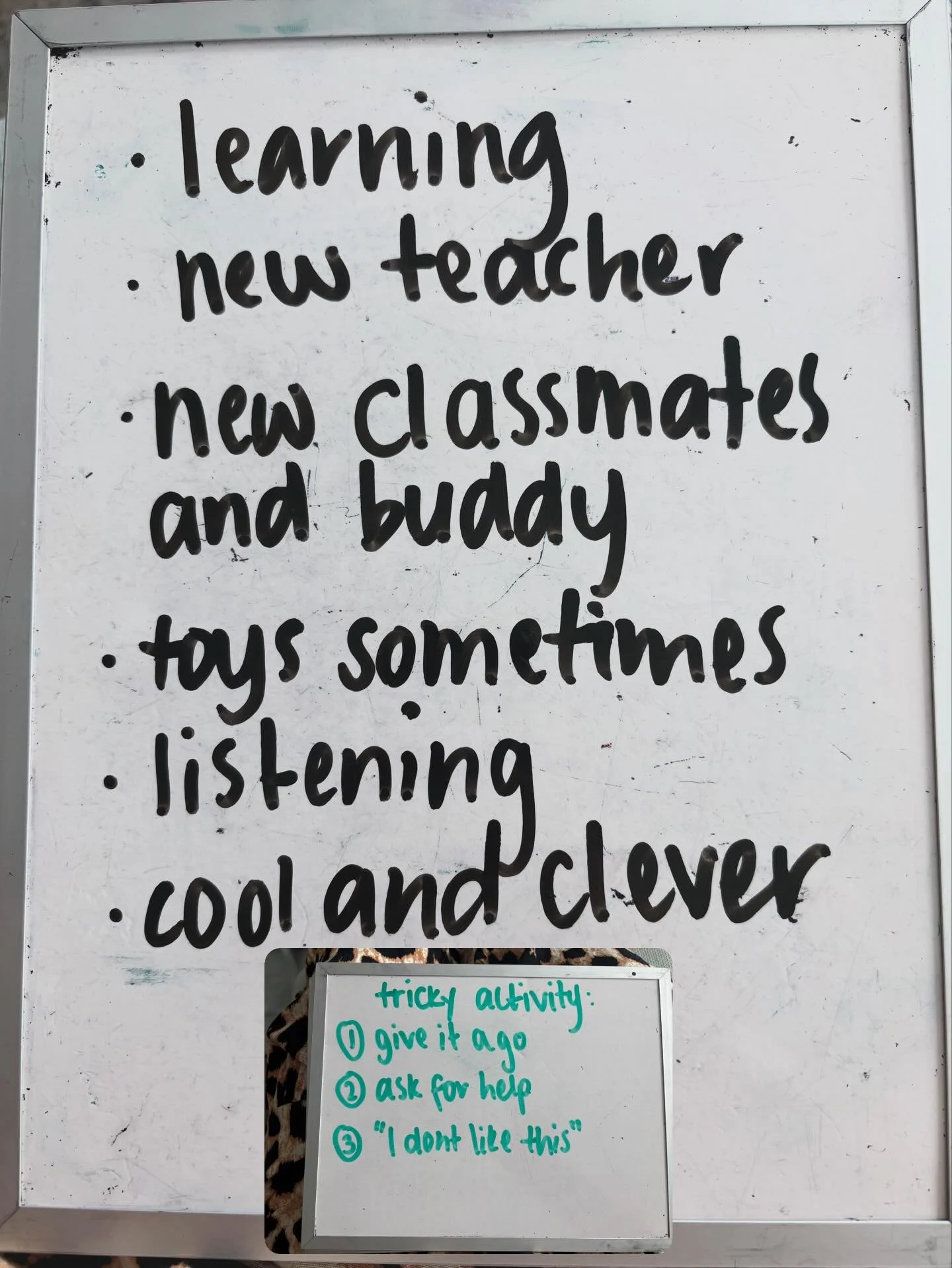 Preparation for the new school year is well underway during therapy sessions, with lots of chats and planning for a new year, a new classroom, a new teacher, different classmates, different schedules.. and the list goes on and on!
