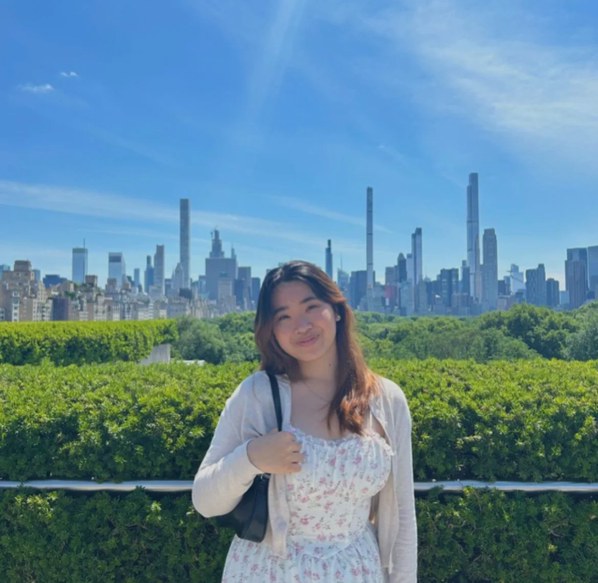 Emily Chen, Researcher — DIGITAL SPEECH LAB