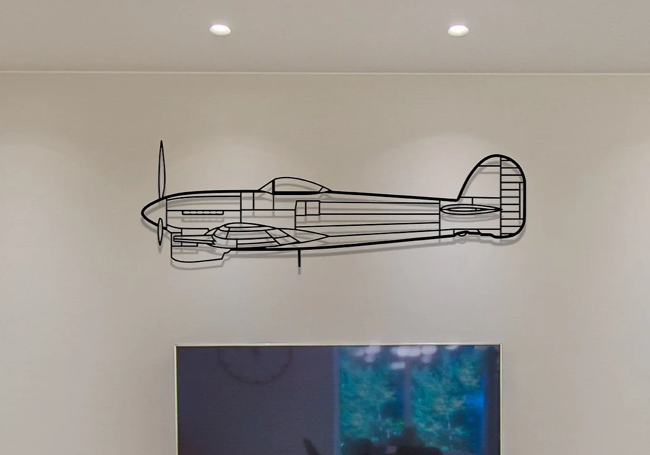 Typhoon+Plain+on+wall.jpg