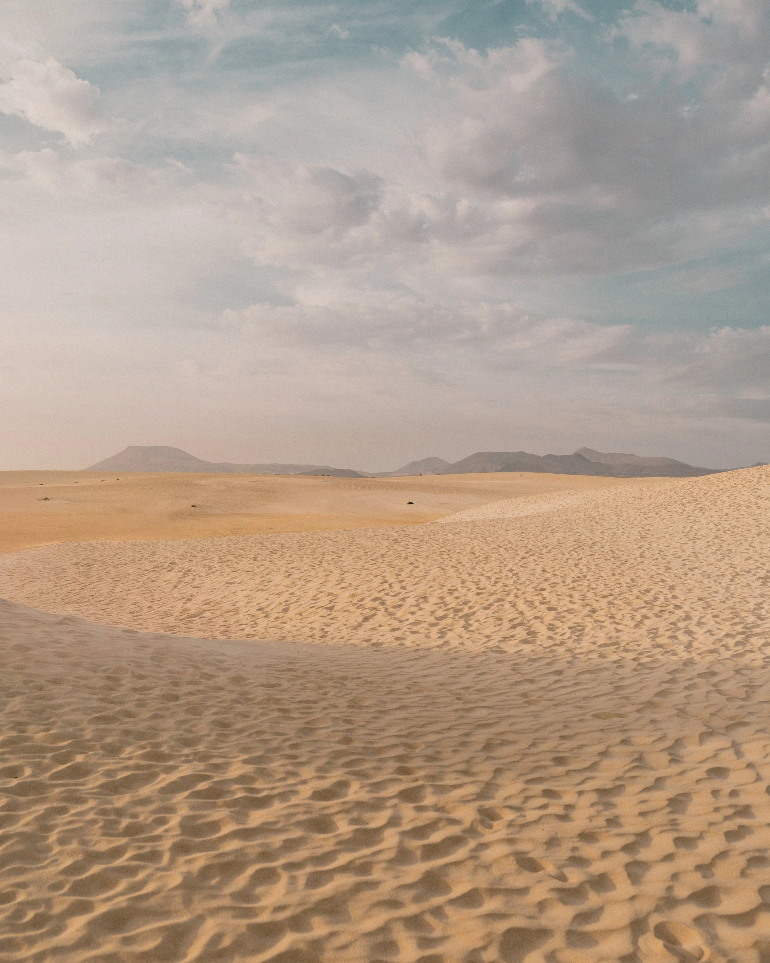 6U3A7426-Edit.jpg