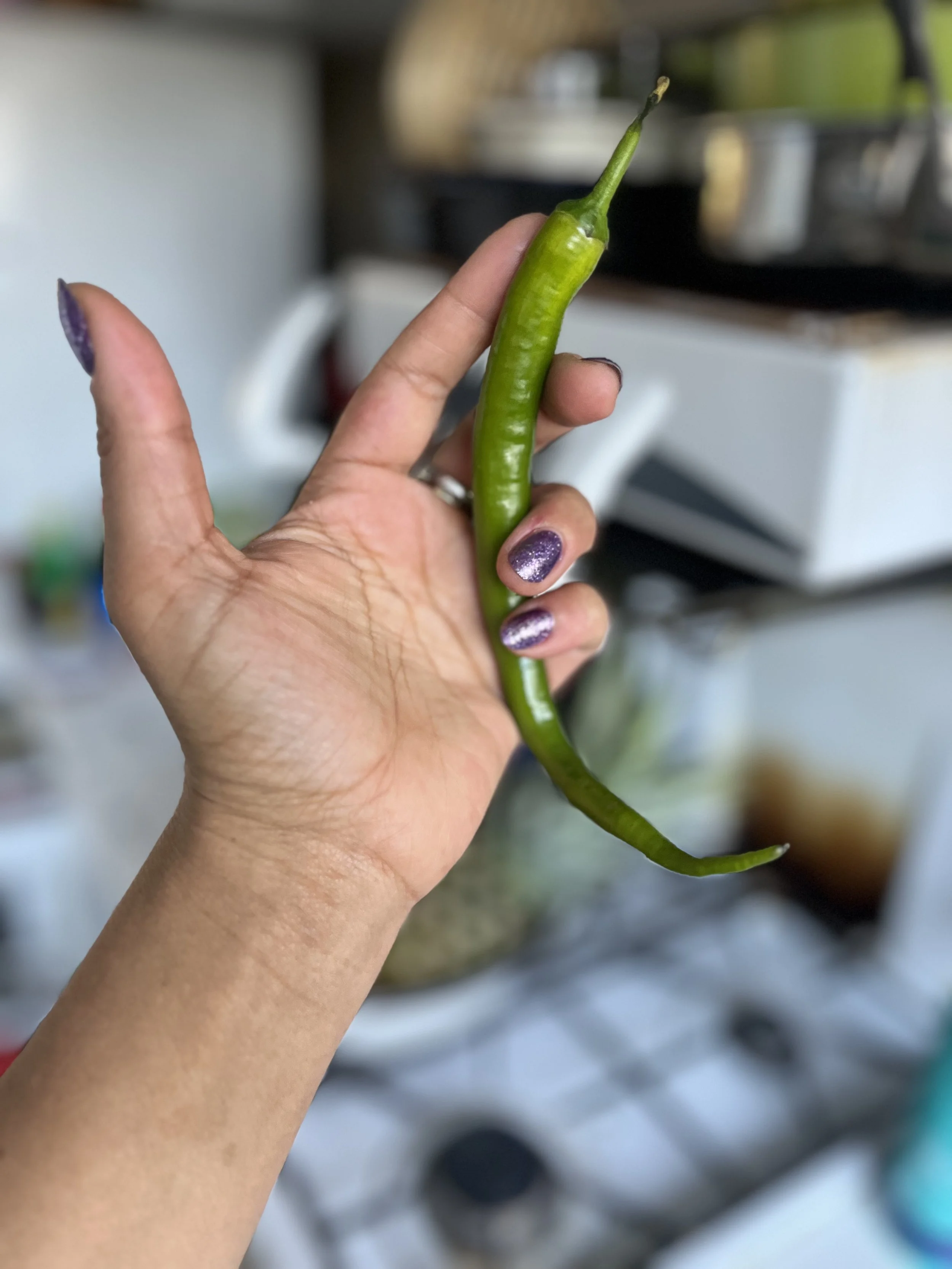 green chilli