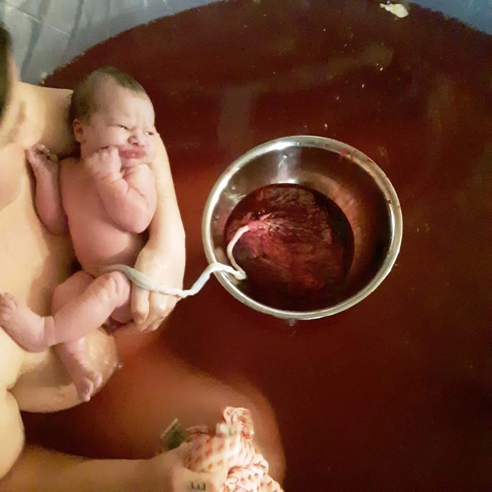 baby and placenta in water after home birth England