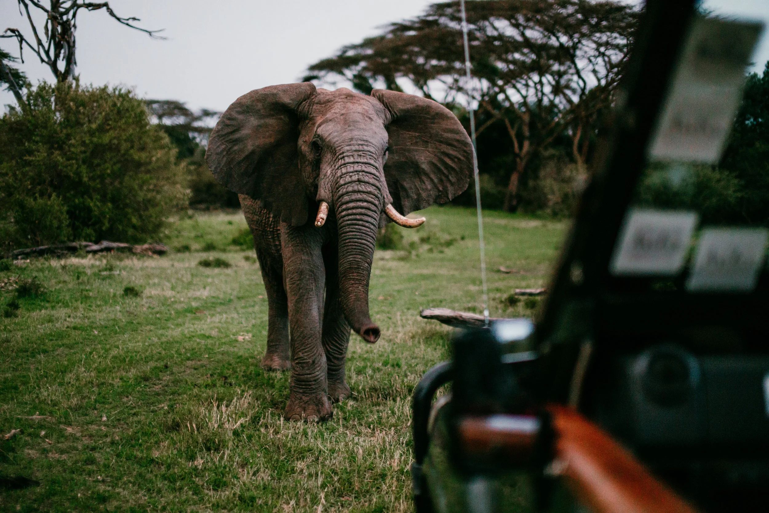 2018 A Year In Review: Part 1