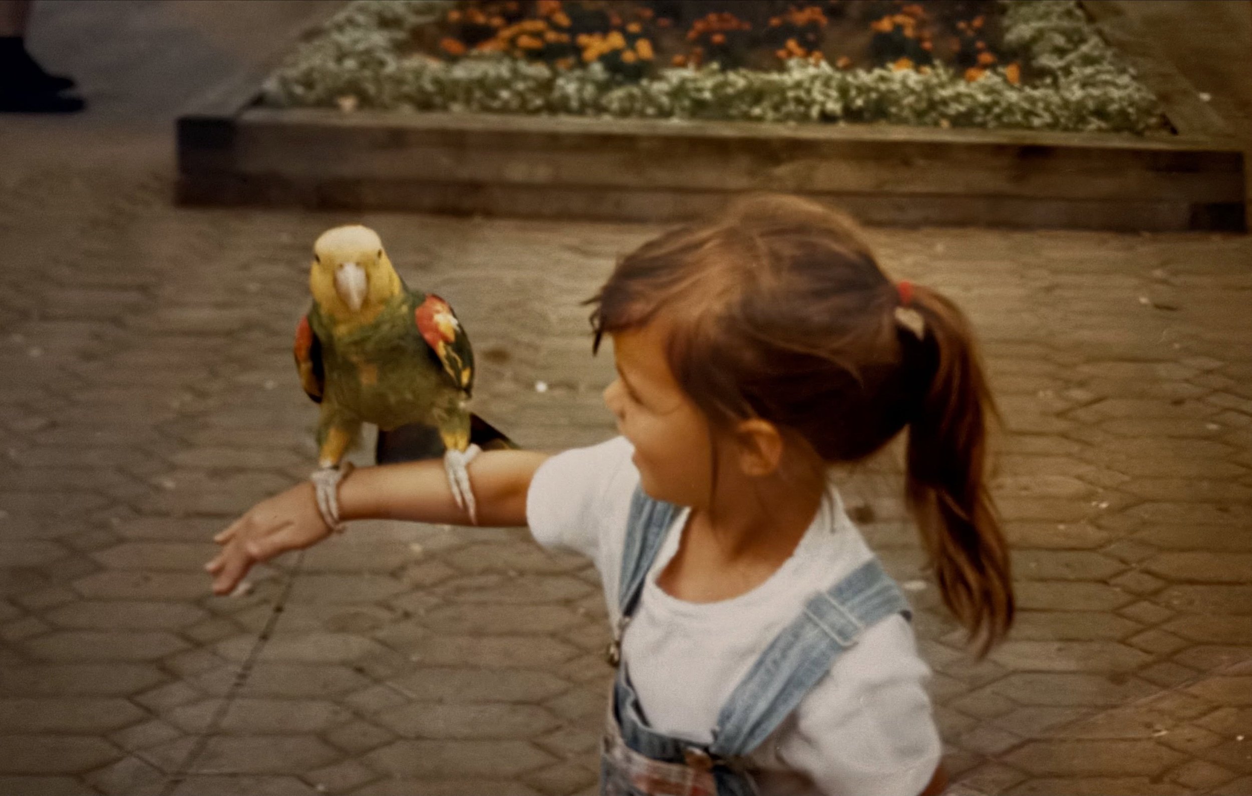I&rsquo;ve been doing some inner child work lately, and it&rsquo;s had me thinking a lot about the things we tell young girls about who they are and maybe even more about the things we DON&rsquo;T tell them.
.
I was always social. Connection-driven. 