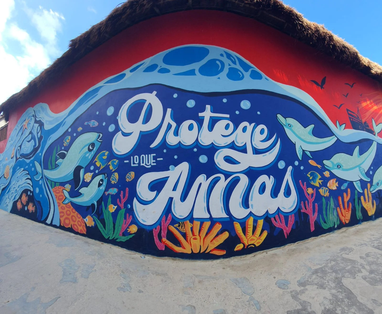 WhatsApp Image 2023-06-30 at 11.11.37 AM.jpeg