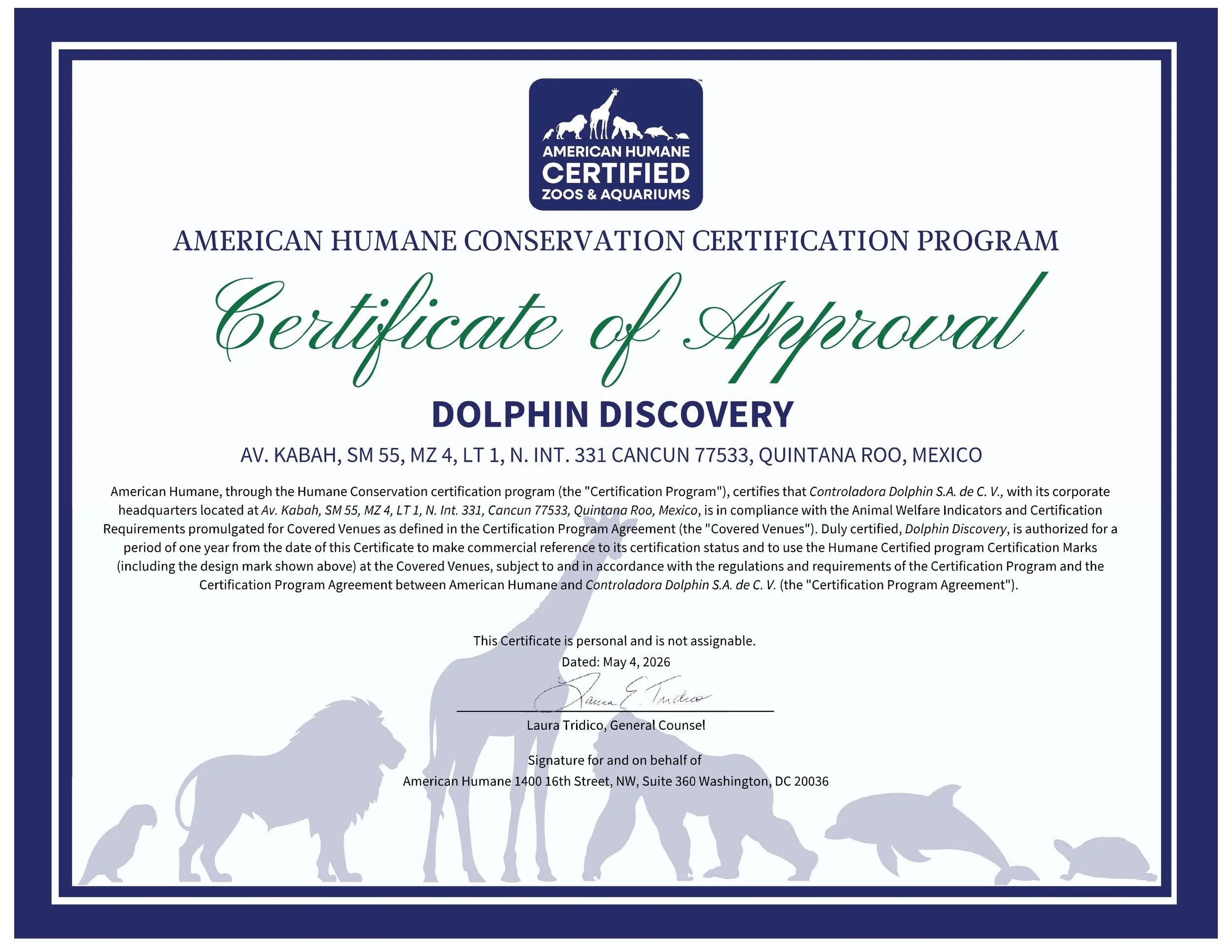 Dolphin_Discovery_1.jpg