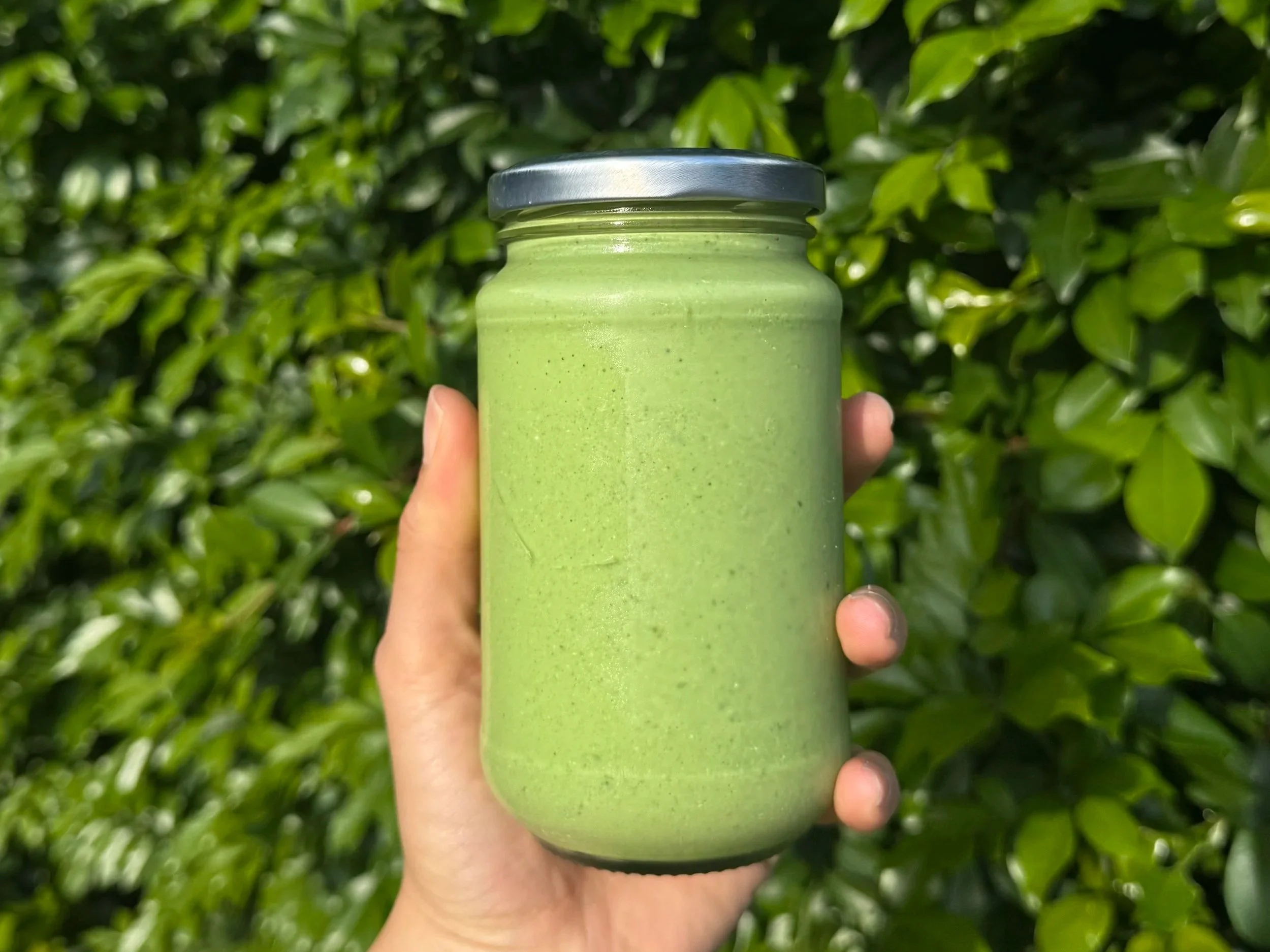 HIGH PROTEIN PESTO (NUT-FREE) - DAIRY FREE OPTION
