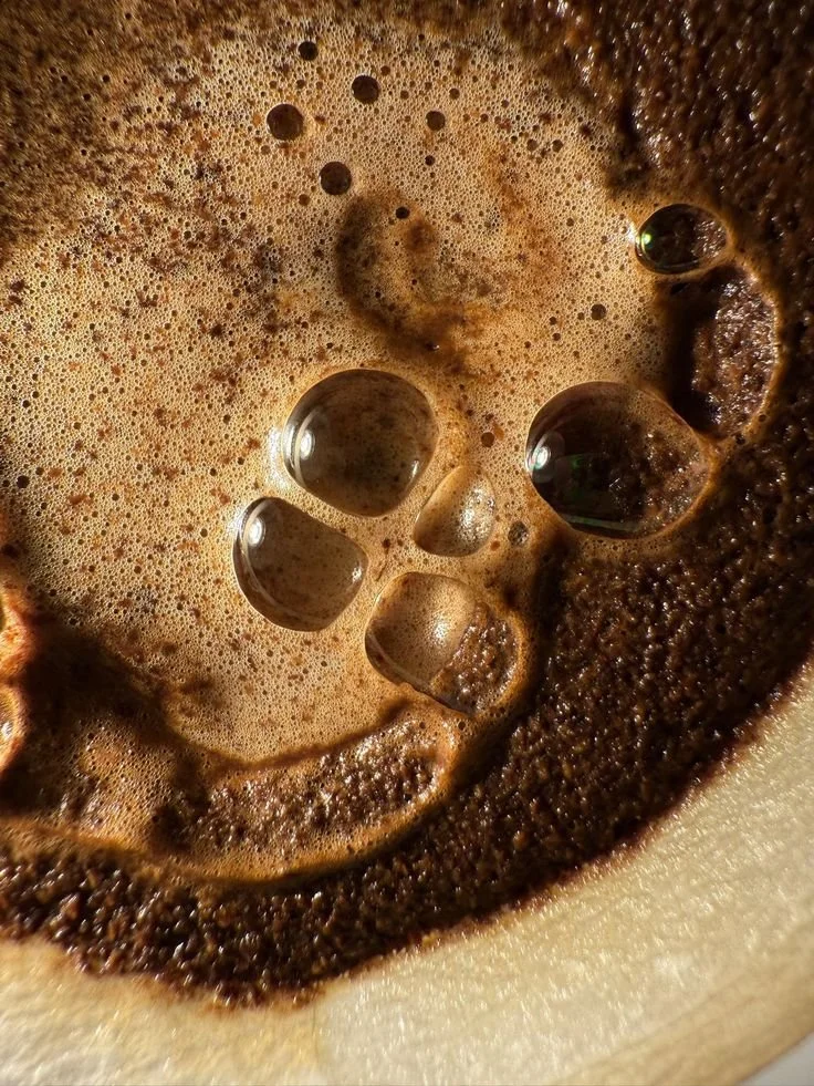 Caffeine and Adrenal Fatigue