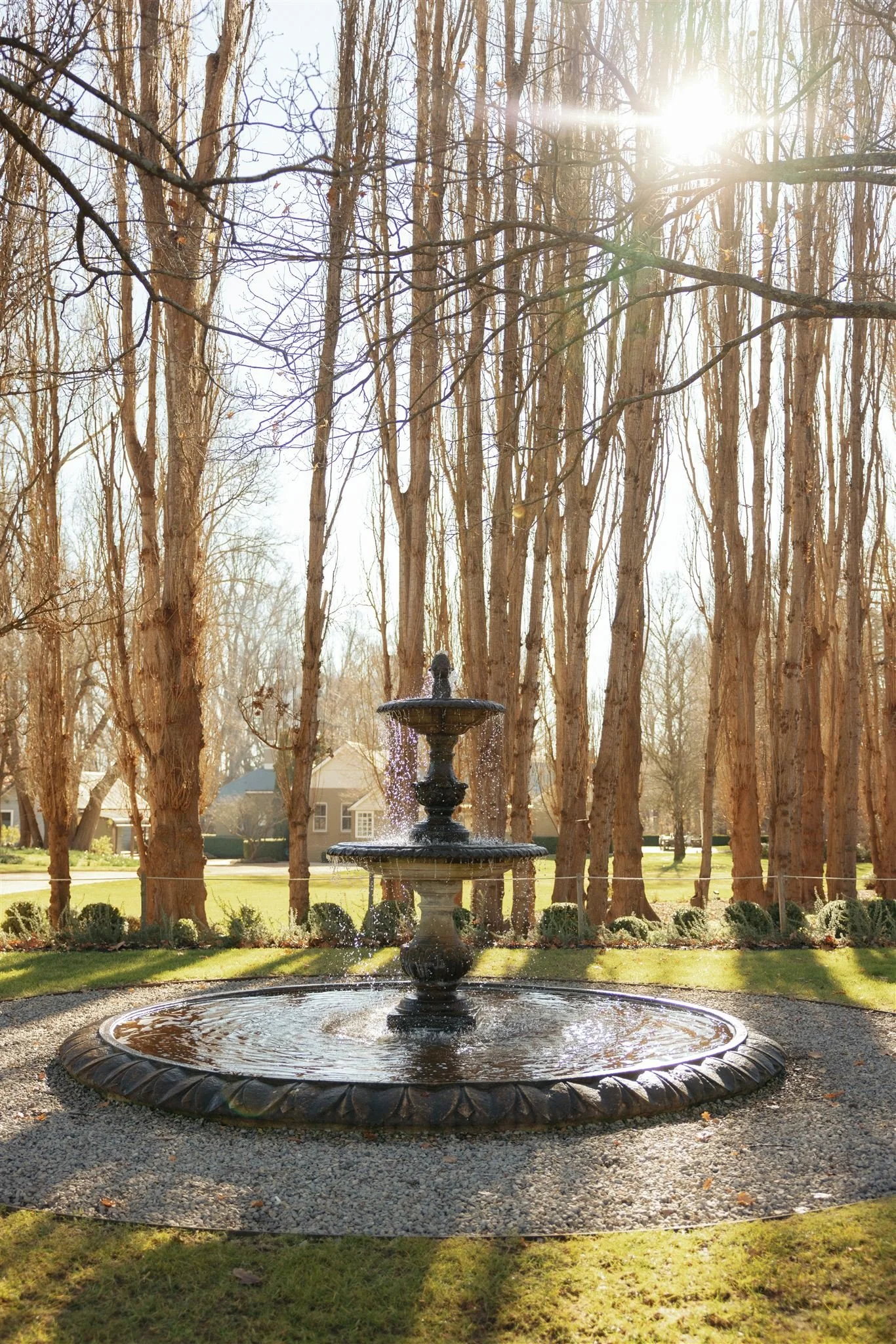 Mona-Farm-Wedding-Open-Day-by-Corinna-&-Dylan_243(2779)_websize.jpg