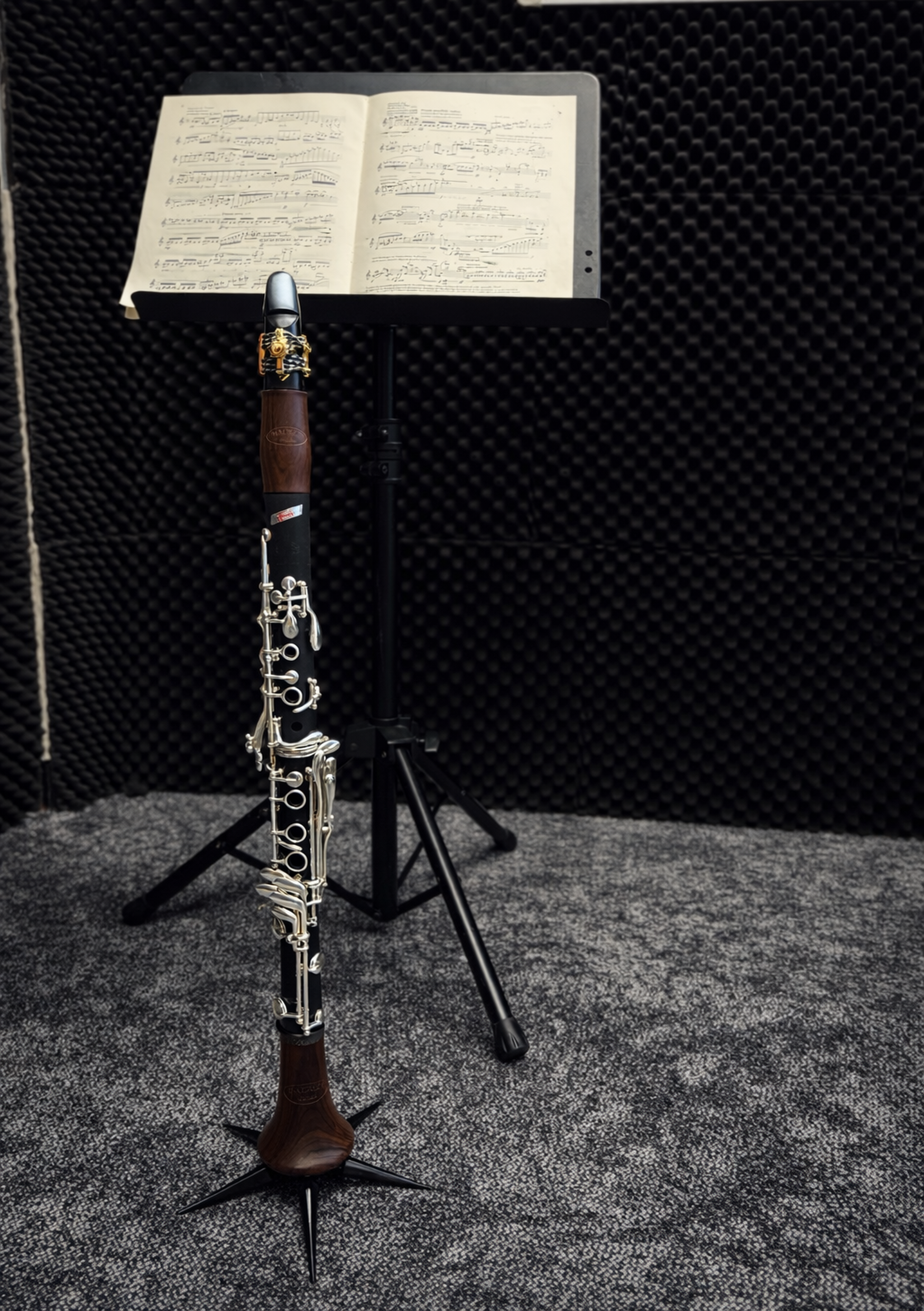 What Clarinet Should My Child Use for School Band?