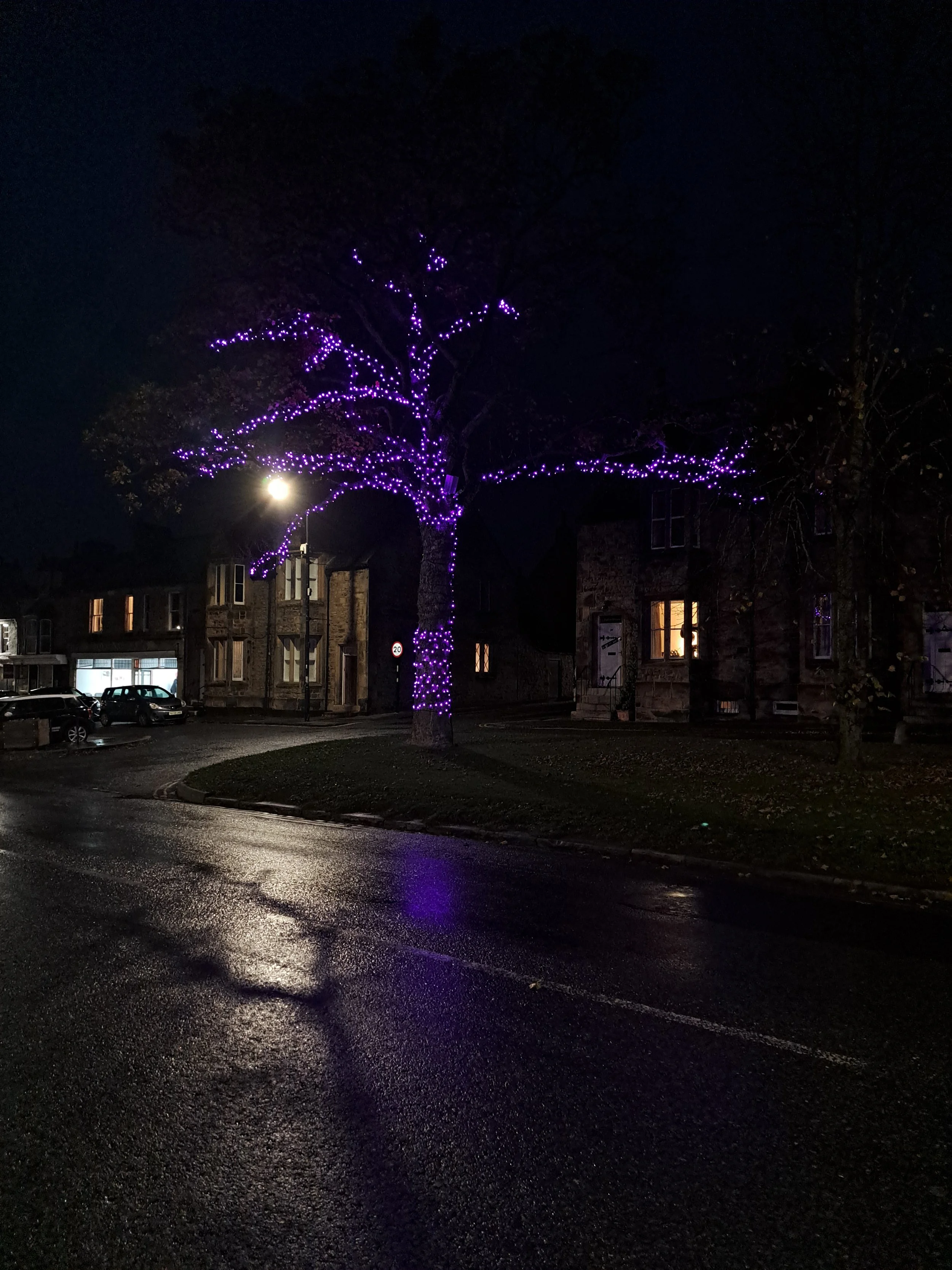 Barney lights up purple for Polio awareness 