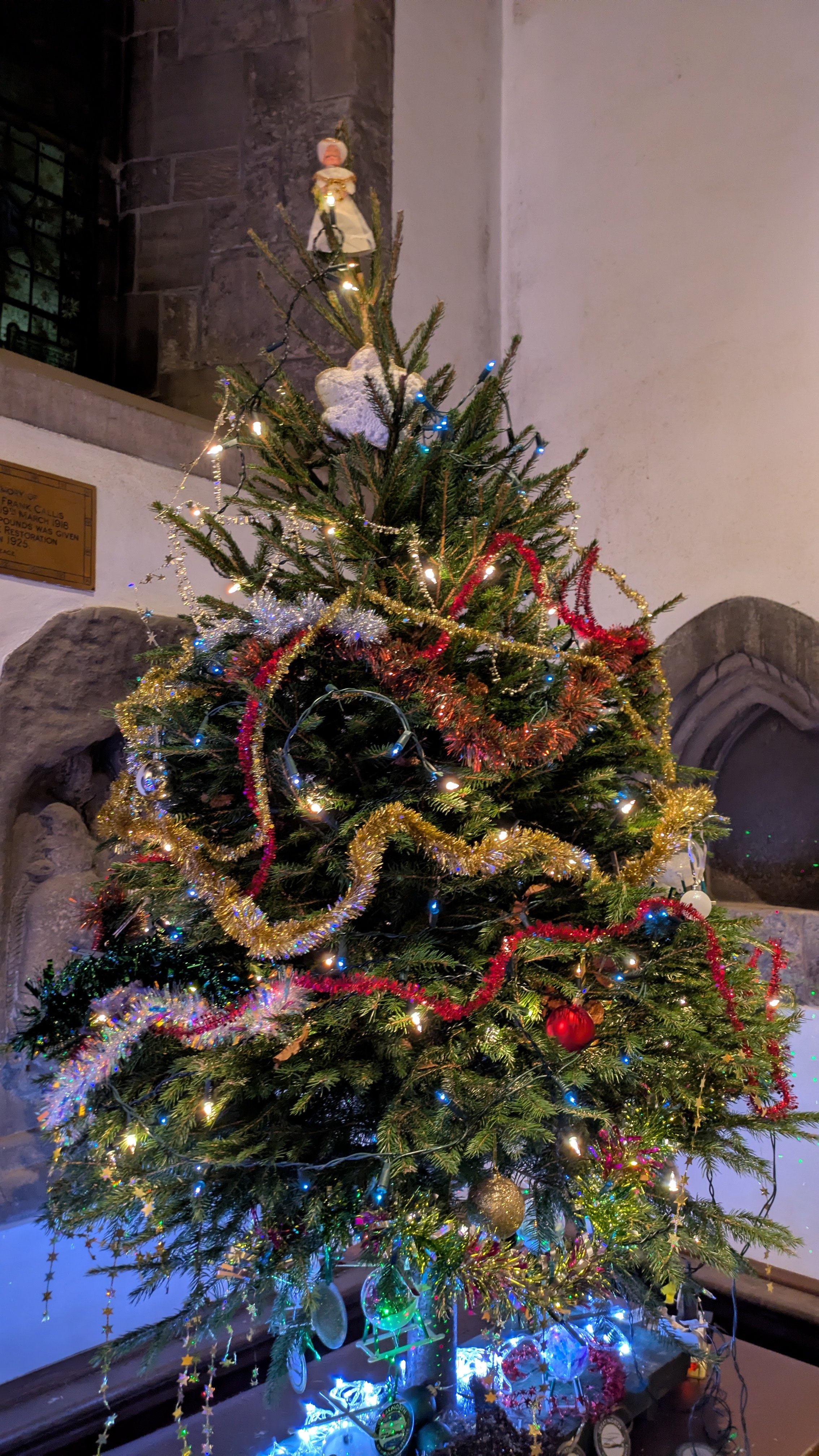 Christmas trees
