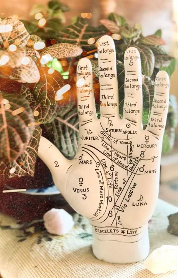 Palmistry.jpg