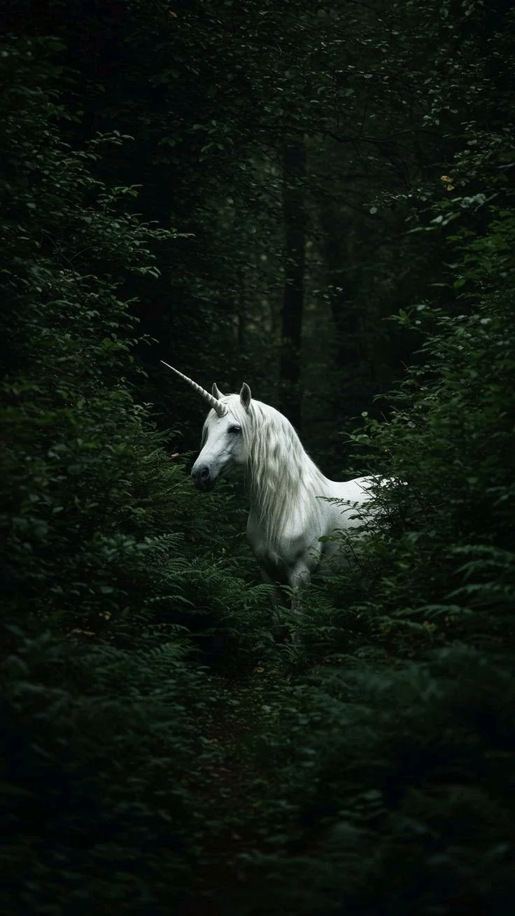 spirit animals.jpg