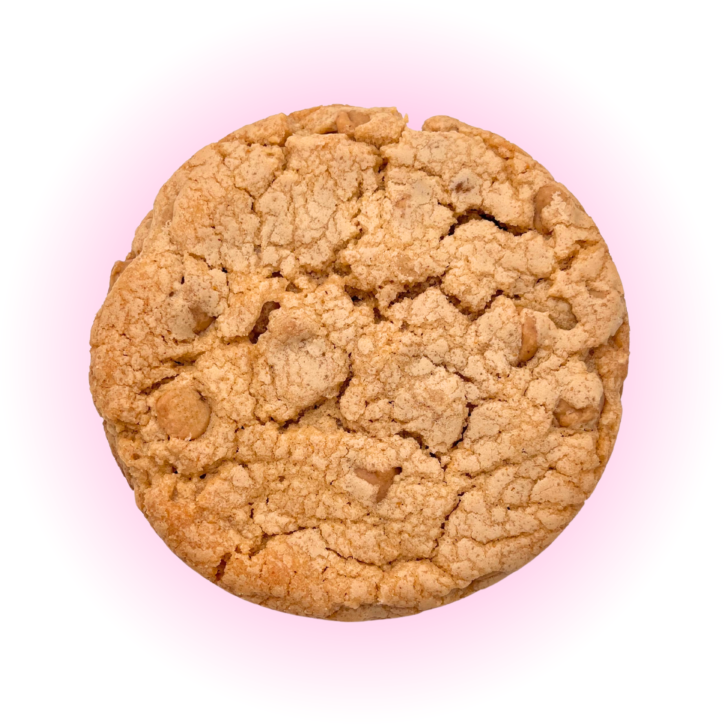 Peanut Butter Cookie