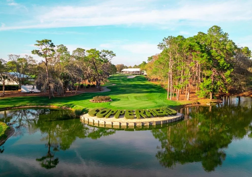Innisbrook Golf and Country Club - featuring Copperhead, The North Course, the South Course, and the Island Course