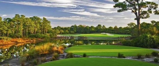 TPC Tampa Bay golf course located in Tampa Florida.
