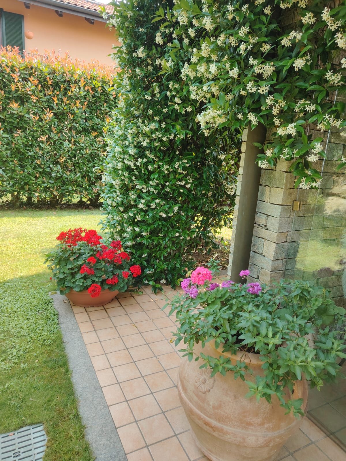 WhatsApp Image 2026-02-17 at 16.12.58.jpeg