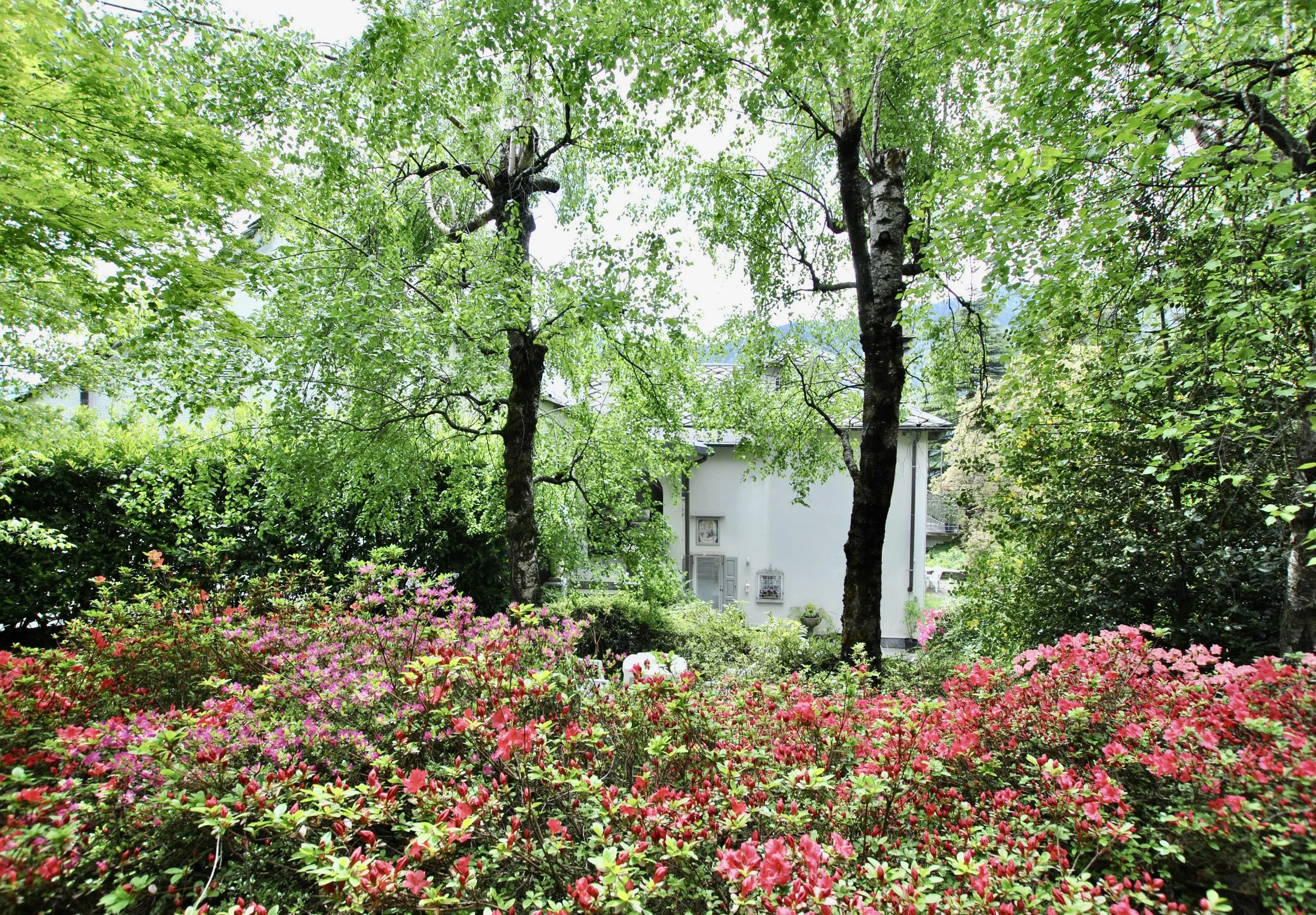 DSC_0095.JPG