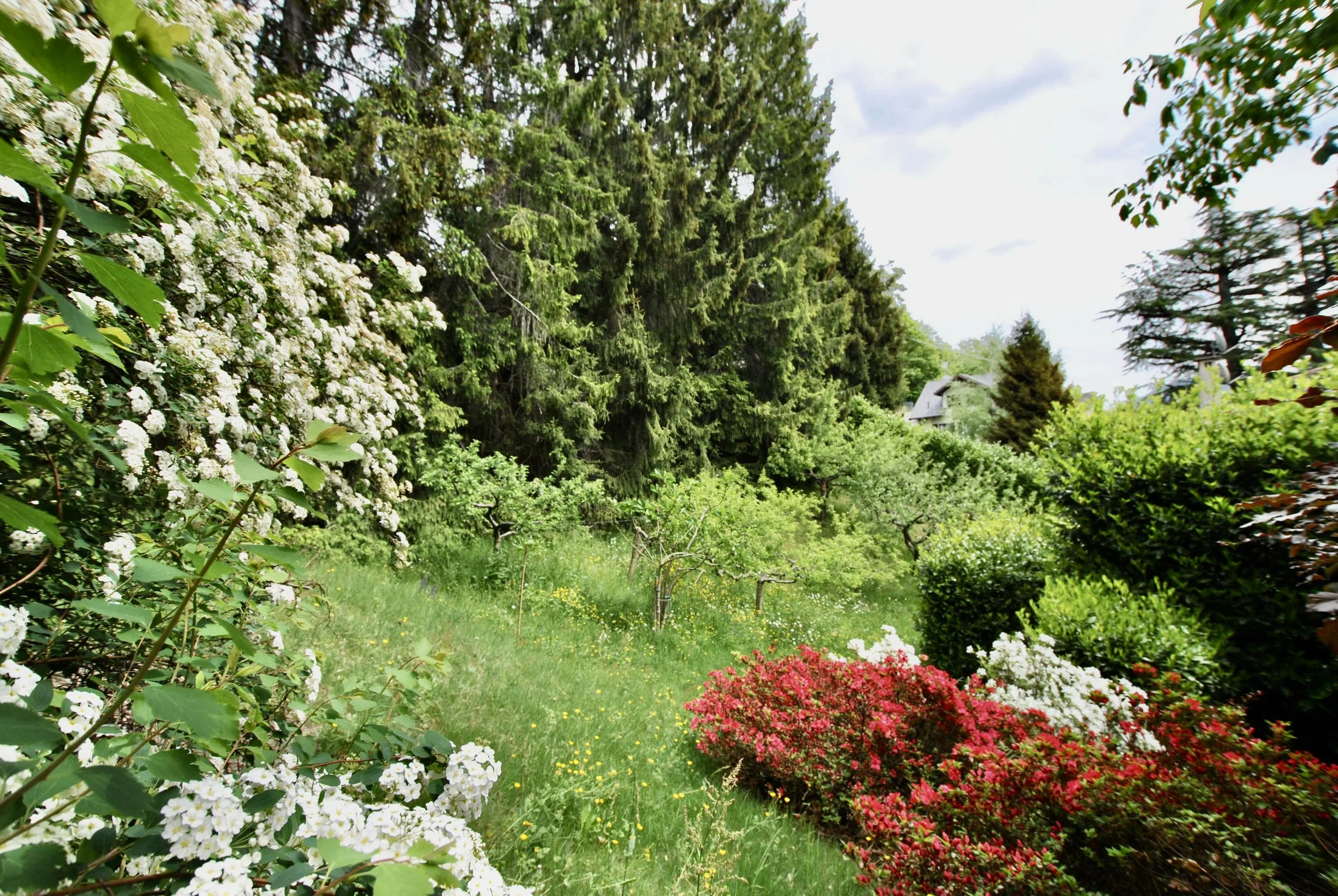 DSC_0098.JPG