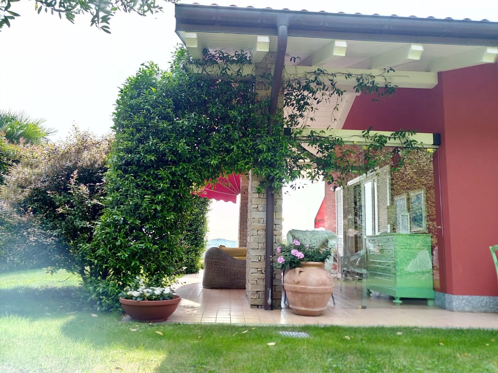 WhatsApp Image 2026-02-17 at 16.13.36.jpeg