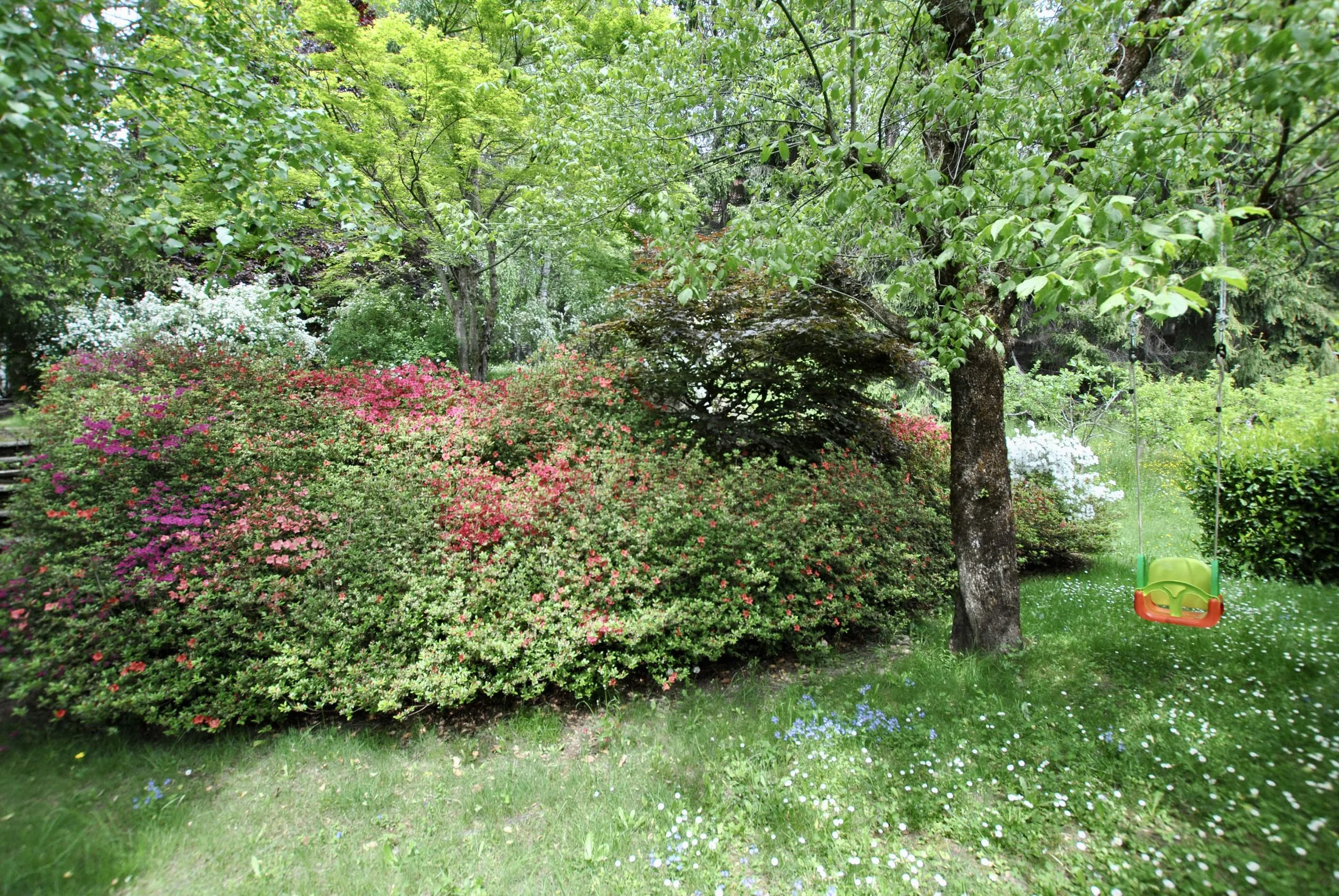 DSC_0089.JPG