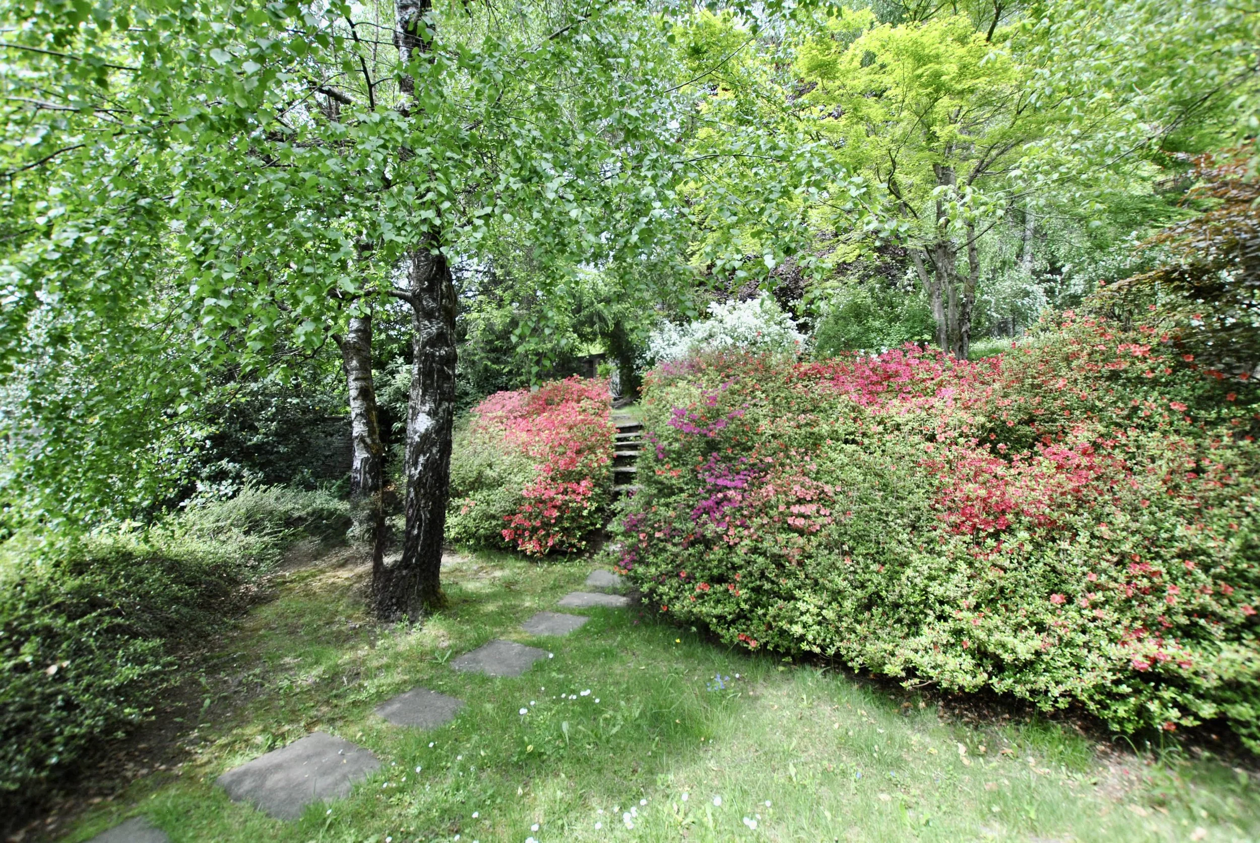 DSC_0087.JPG