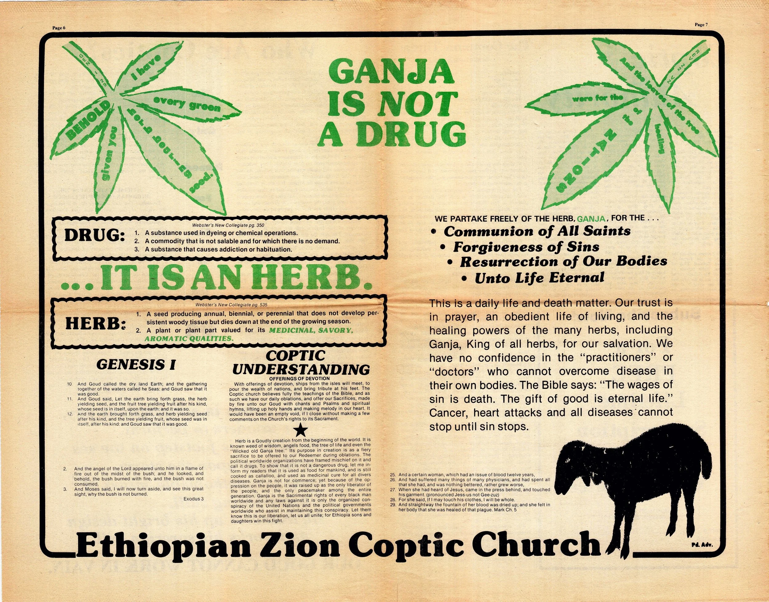 Star Island, Miami, The Embassy of the Ethiopian Zion Coptic Church of Jamaica, Coptic Times, I'll Always Be Your Brother Podcast