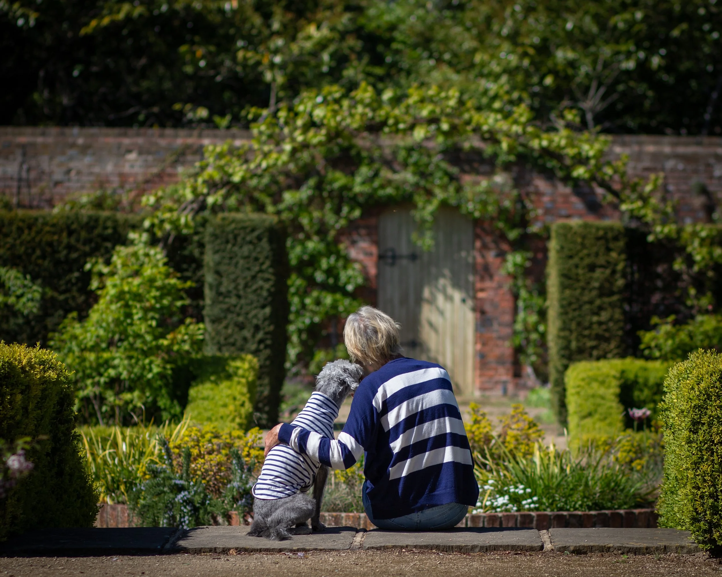 Image taken at Crocus at Dorney, Berkshire, Dog and Owner Photography