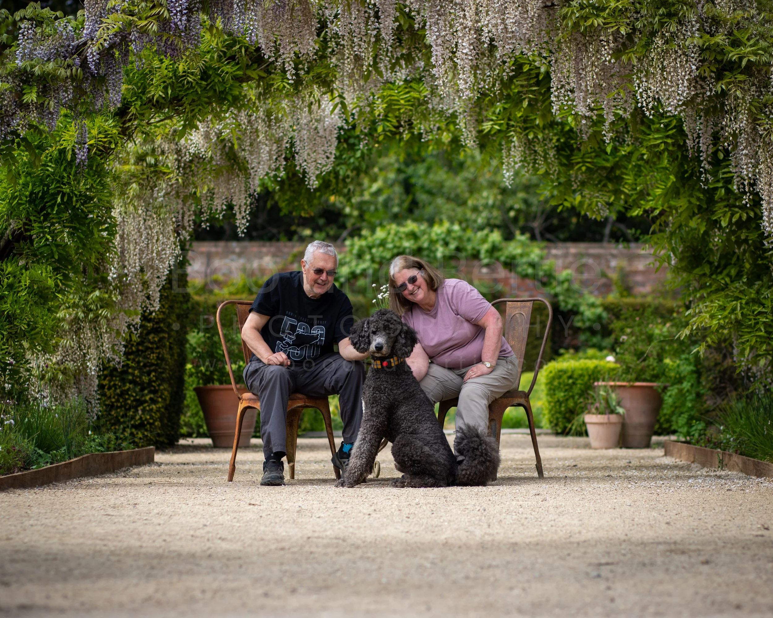 Crocus Experience • Linda, Ian and Stirling
