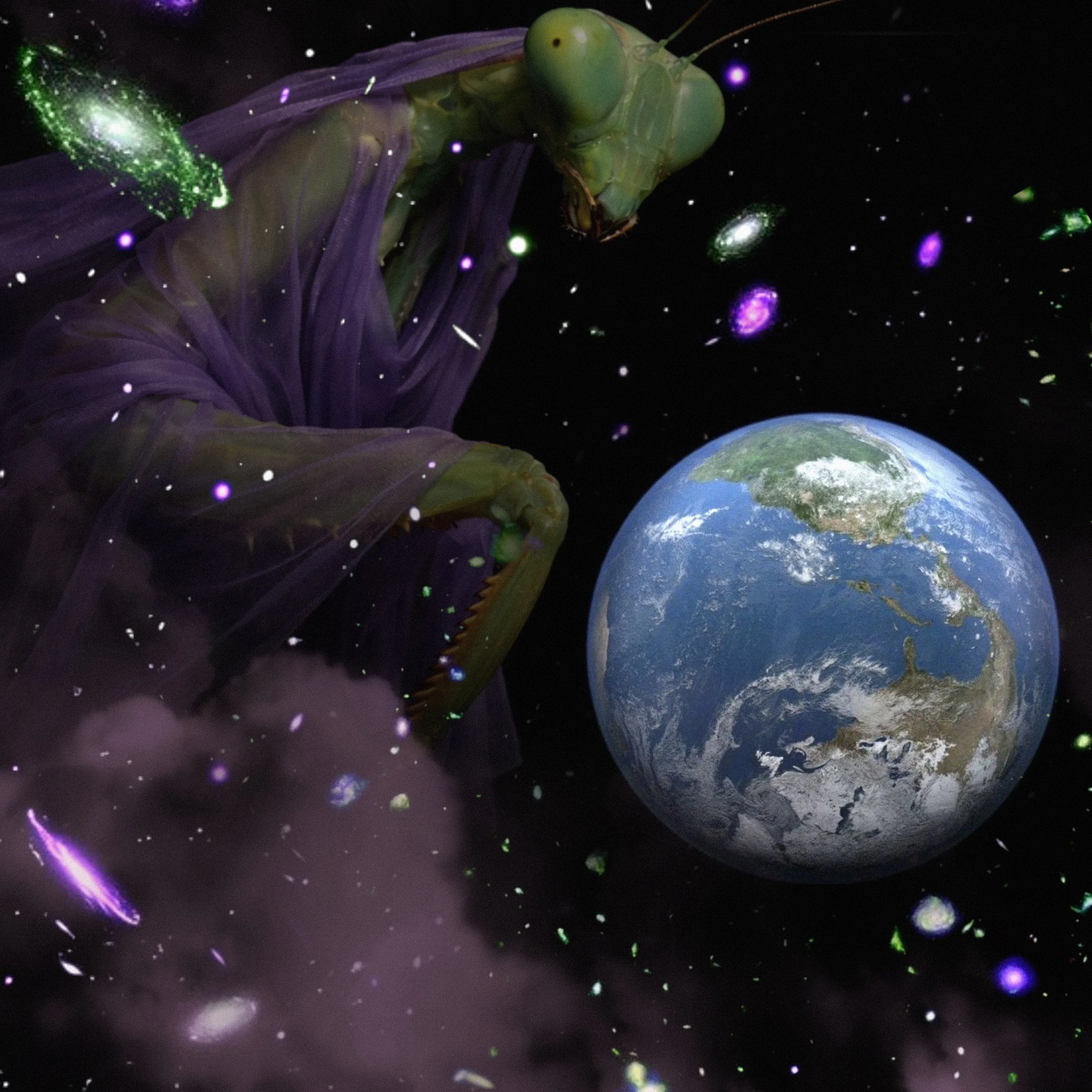 PHENOLOGICAL CONTINUITY