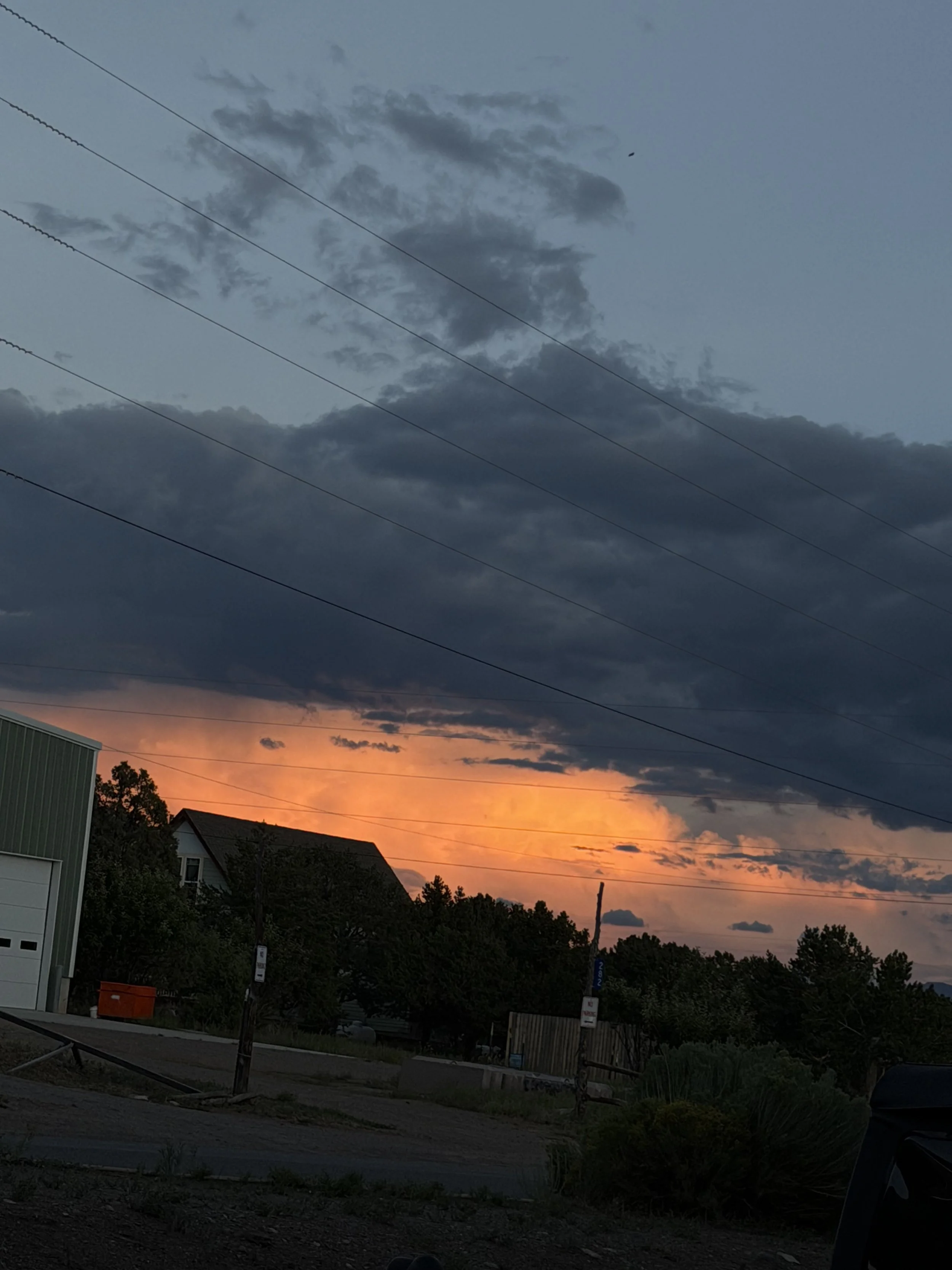 IMG_9497.jpeg