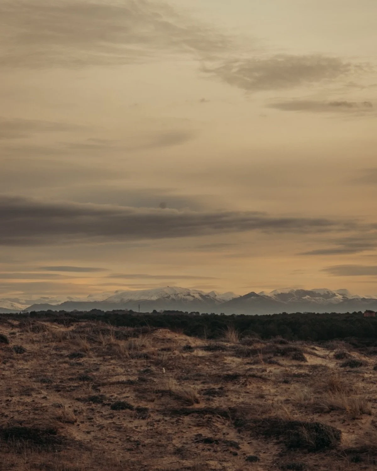 🏔️Les premi&egrave;res neiges dans les Pyr&eacute;n&eacute;es vues des Landes 

#landes #mountain #leslandes #pyrenees #aquitaine