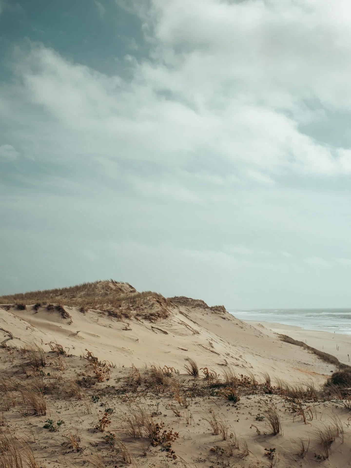 💨Le charme de la c&ocirc;te d&rsquo;argent en hiver 

#cotedargent #gironde #girondetourisme #landscape_lovers #edenaquitaine