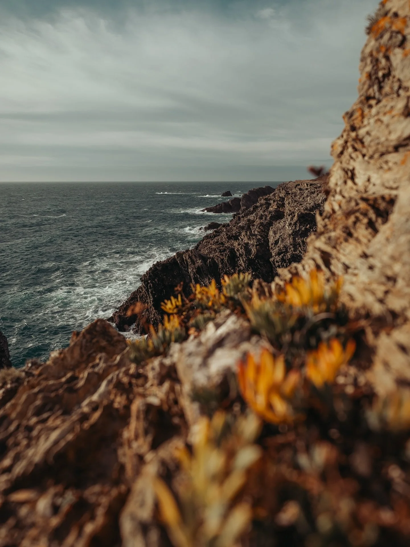 🇮🇸 Suis-je en France ou en Islande ?

#belleileenmer #belleileenmertourisme #francecartepostale #morbihan #landscapephotography morbihantourisme