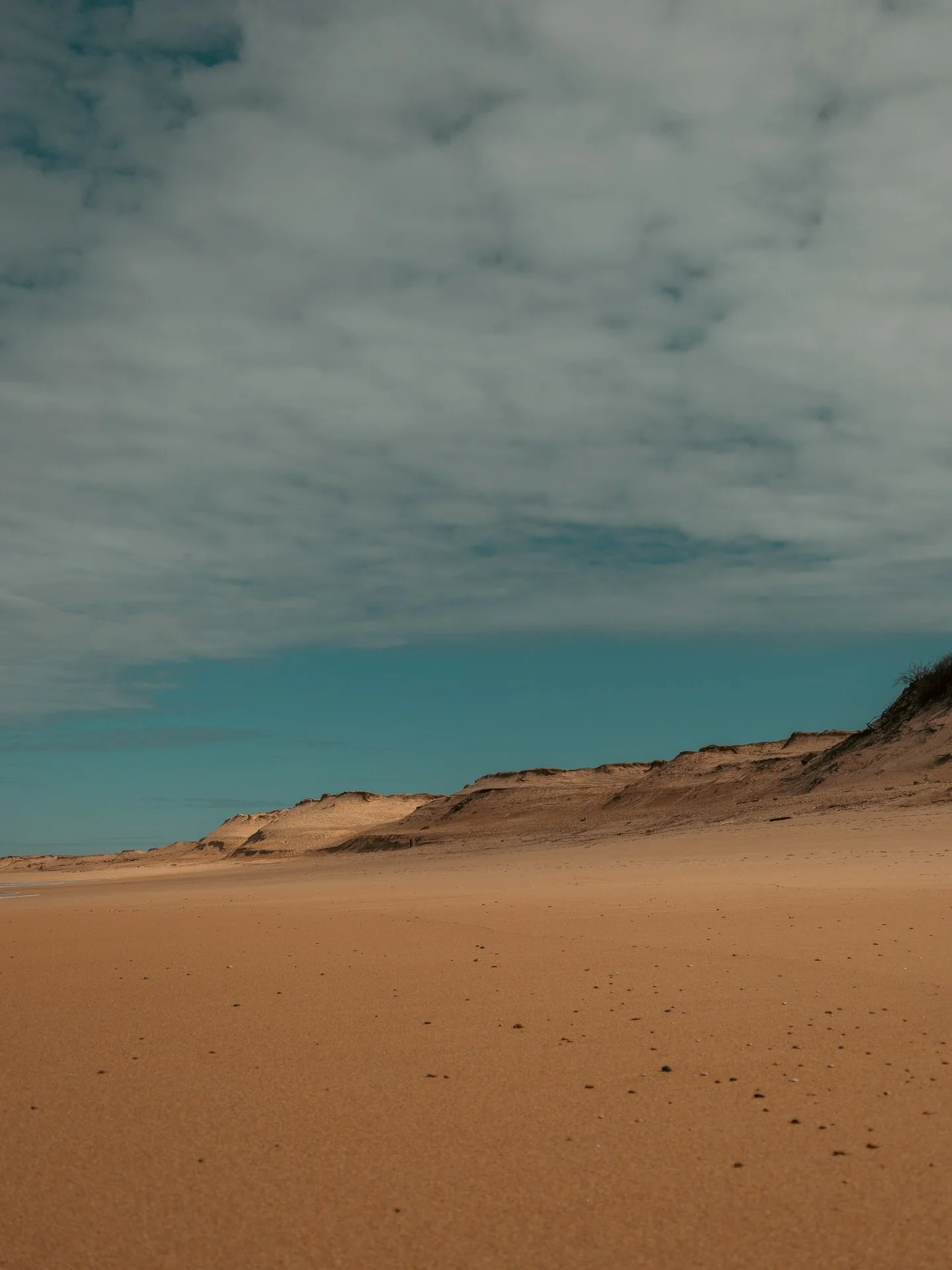 ☕️Un matin dans les Landes 

#leslandes #landes #labenne #labenneocean #aquitaine