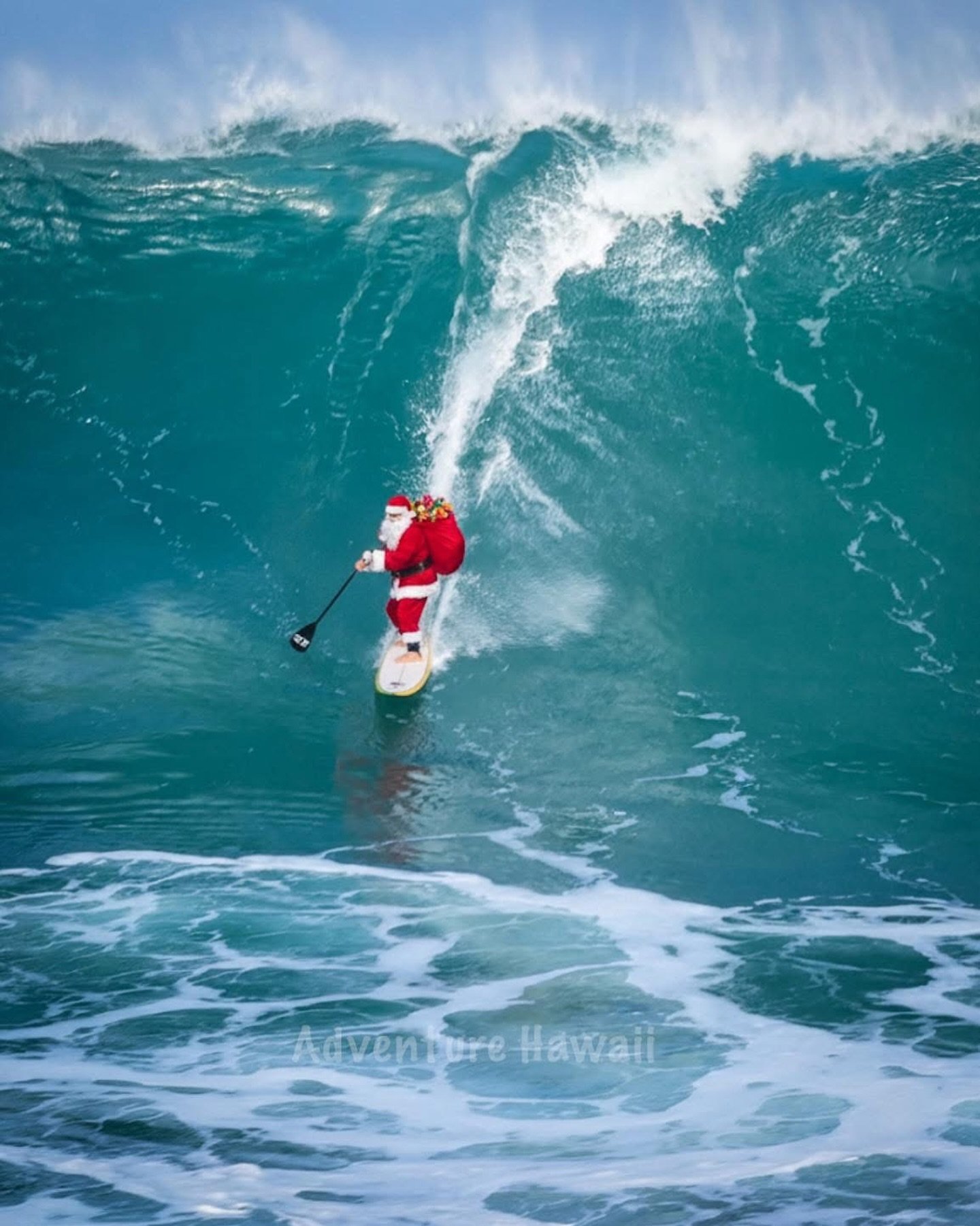 Mele Kalikimaka!! Merry Christmas!! #melekalikimaka #merrychristmas❤️