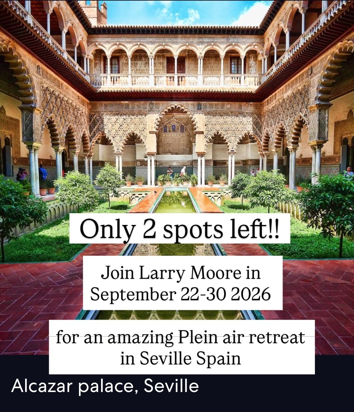 Dm me your email address for detailed information about securing your spot!! This will be an exciting opportunity to experience the amazing architecture and culture of Andalusia region of Spain. We will visit all the iconic sites and learn to record 