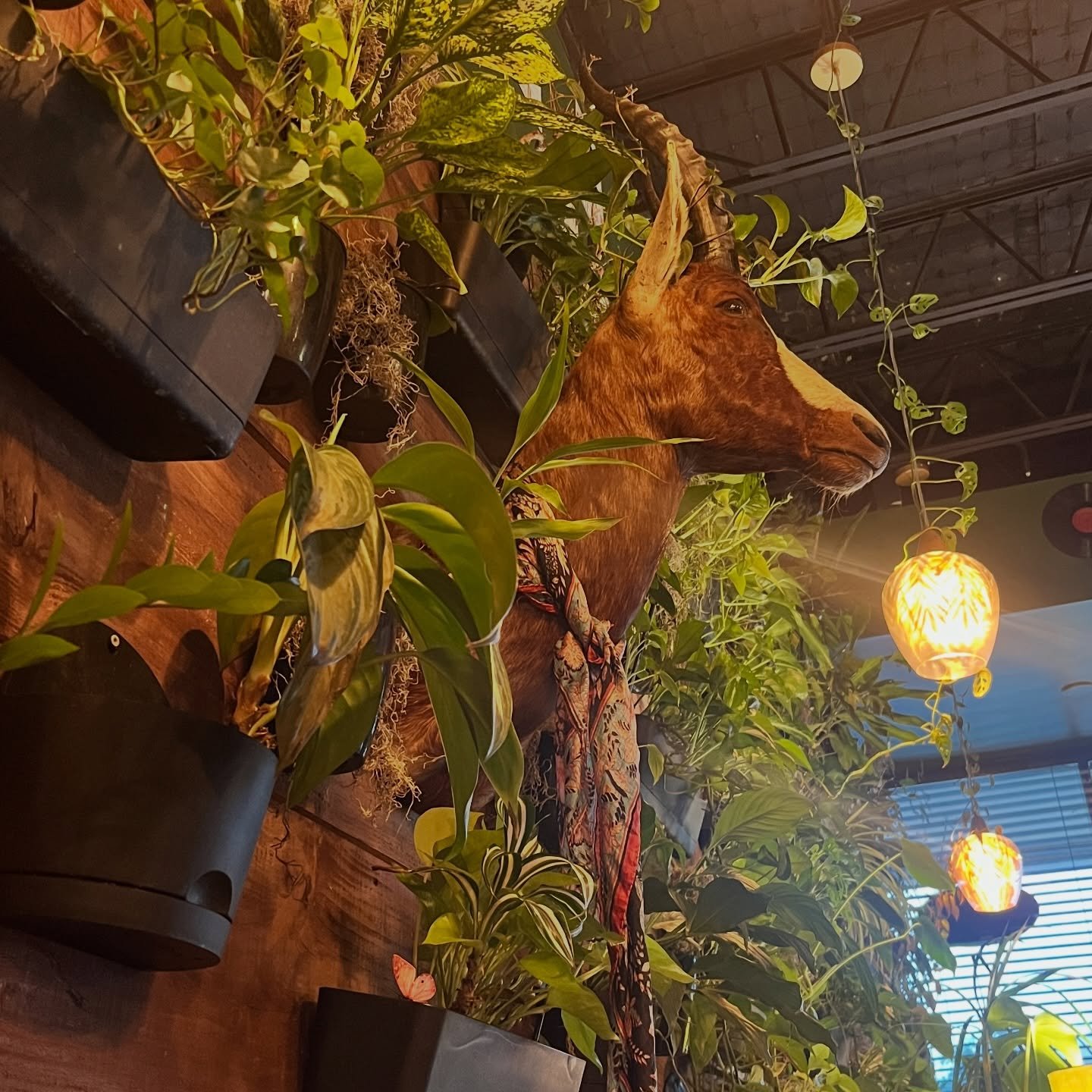 I really do not like having to put out posts like this but we are only a year into this regime, and I say regime, not presidency because that&rsquo;s what we are living under, people. And I just ask, what the hell is it going to take? I&rsquo;m heart