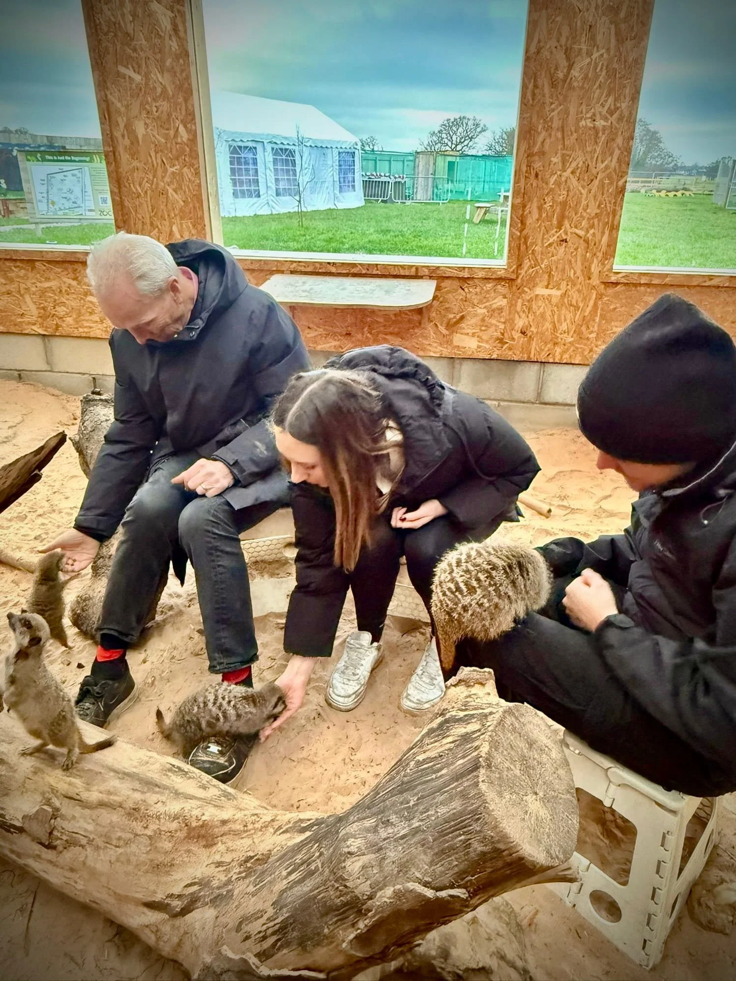 From Courtrooms to Claws, Scales and Whiskers