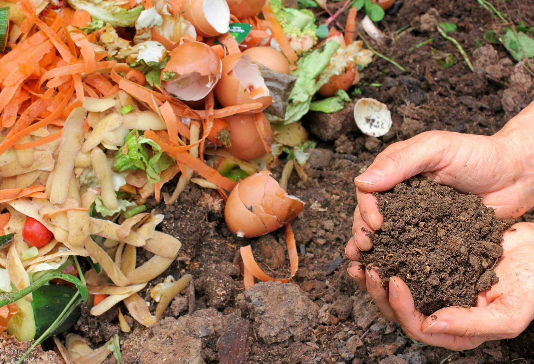 Composting in North Hills: Part Three