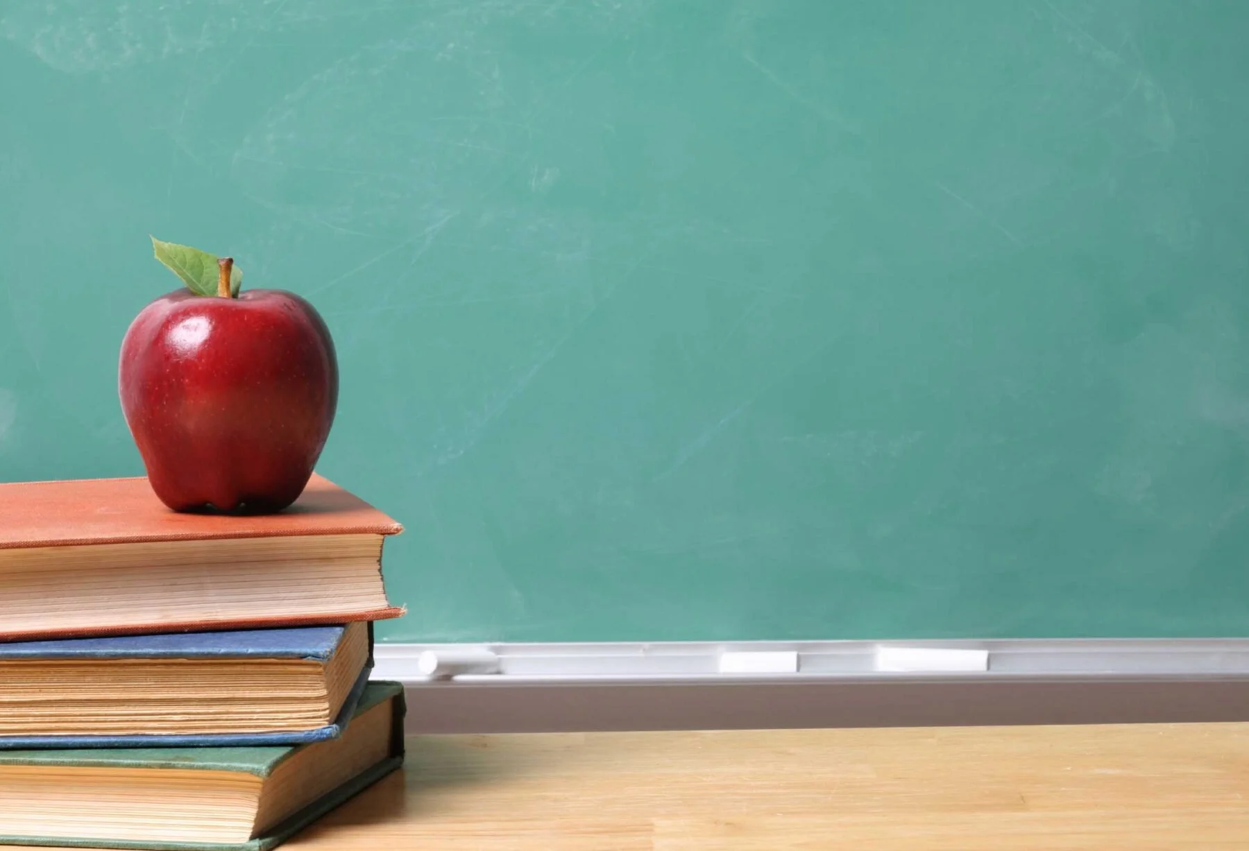 A Guide for All Your Back-to-School Needs