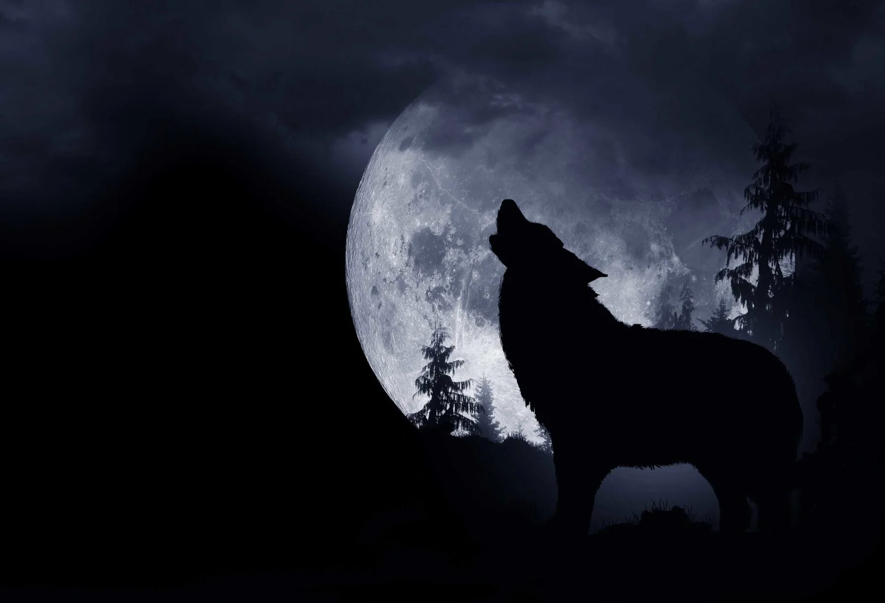 Five Terrifying Tales Guaranteed to Keep You Up at Night