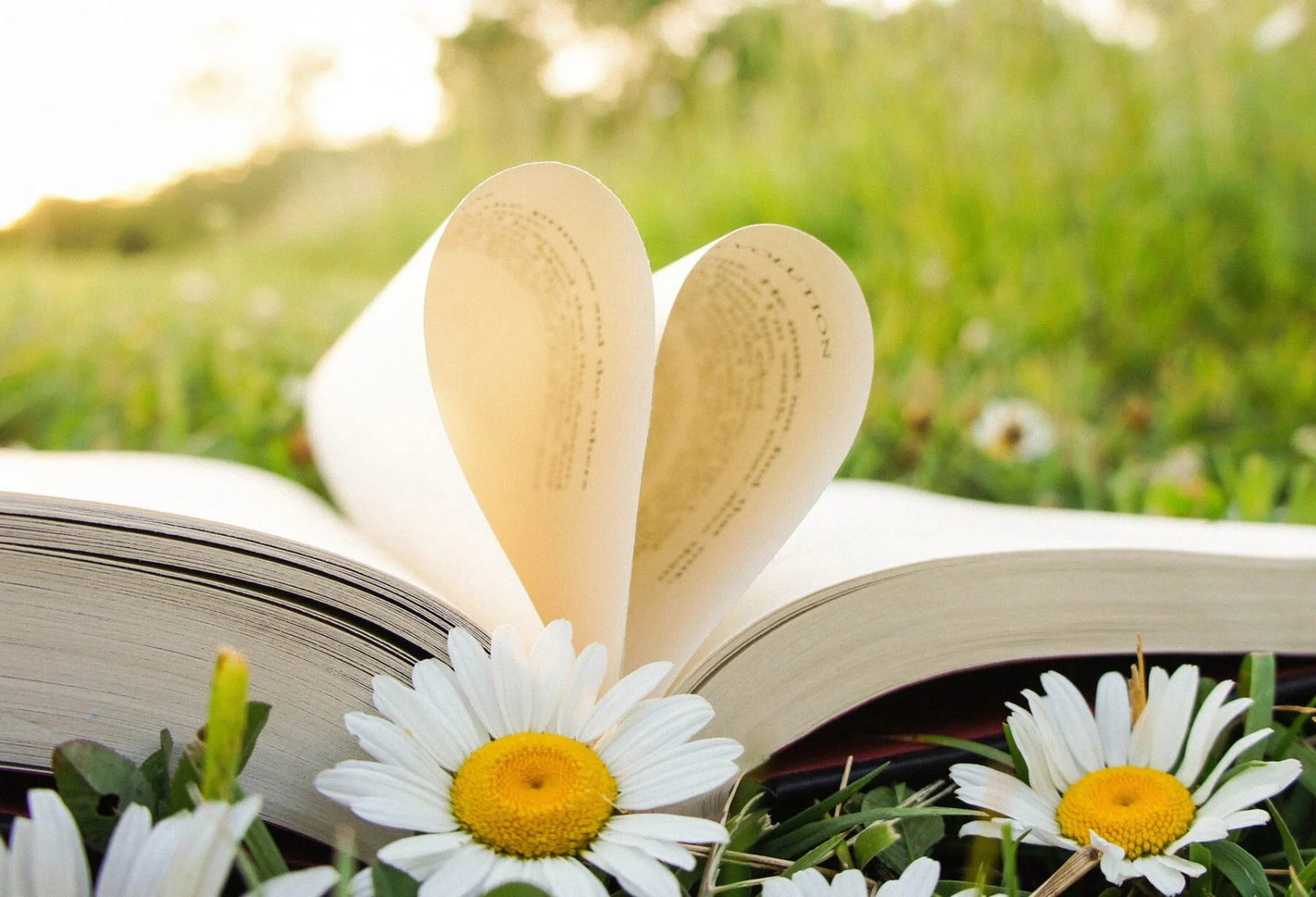 8 Books to Pick Up in 2018