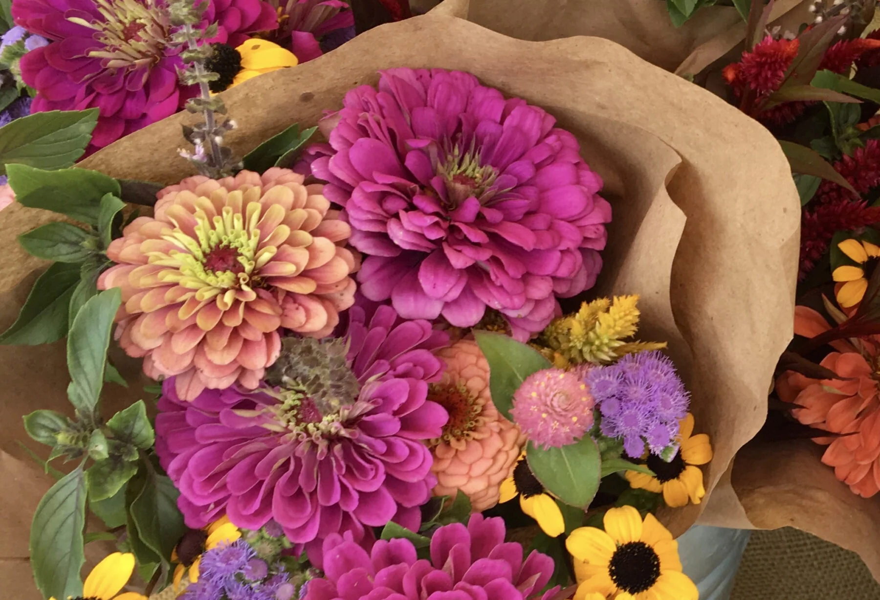 Color Fields Farm Produces Bounty of Bouquets
